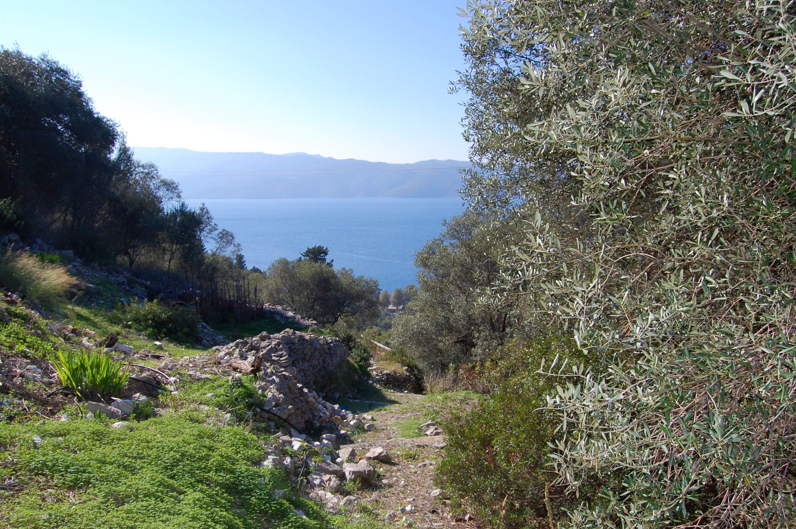 Landscape and terrain of land for sale on Ithaca Greece