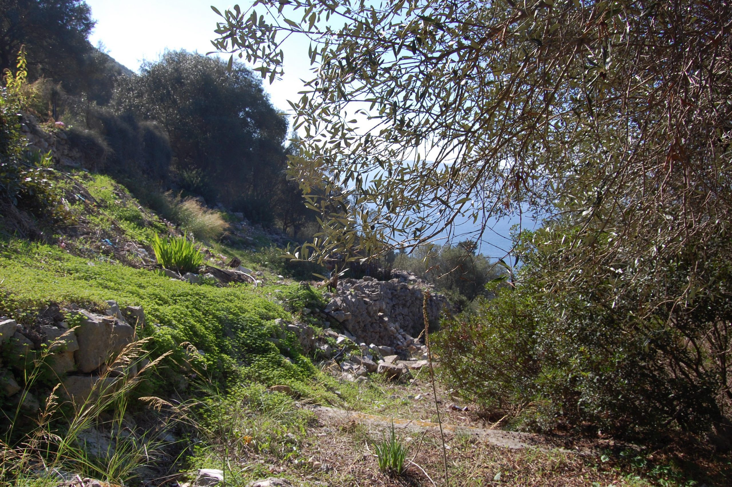 Landscape and terrain of land for sale on Ithaca Greece