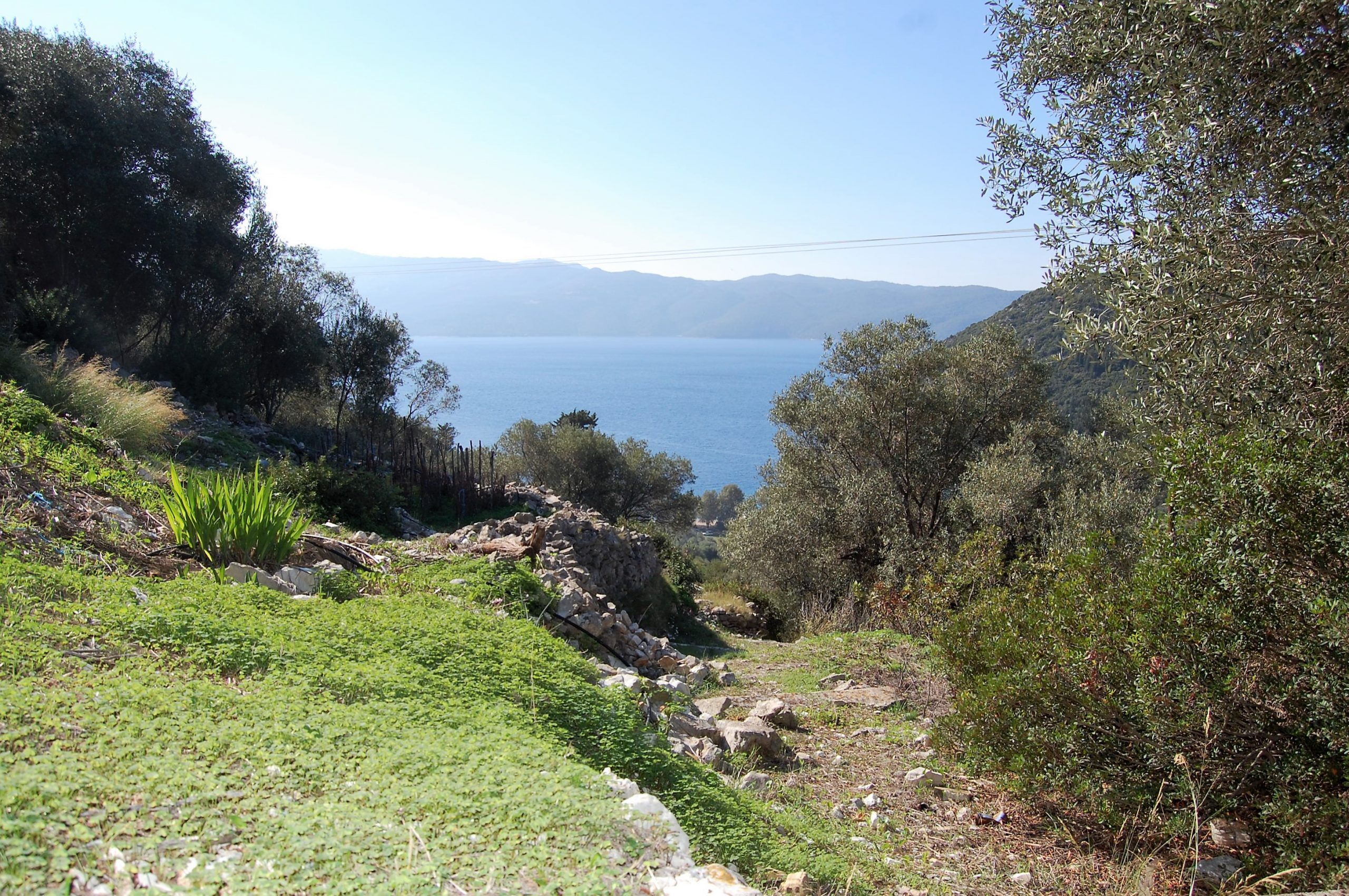 Landscape and terrain of land for sale on Ithaca Greece