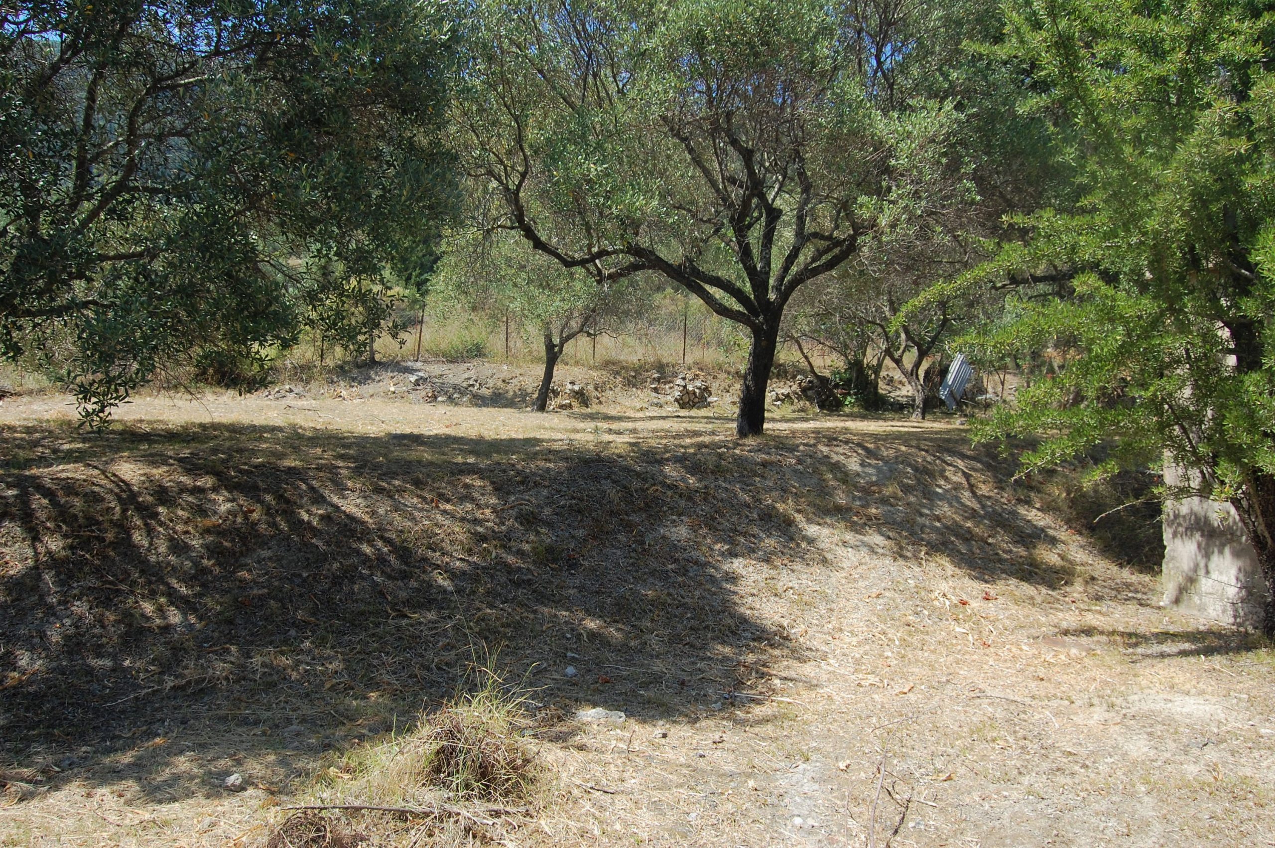 Terraced landscape of house for sale in Ithaca Greece, Kolleri