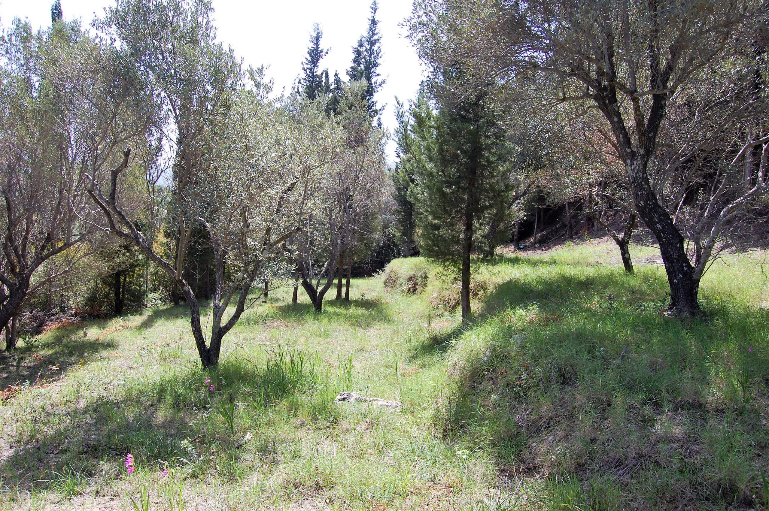 Exterior view of land for sale Ithaca Greece