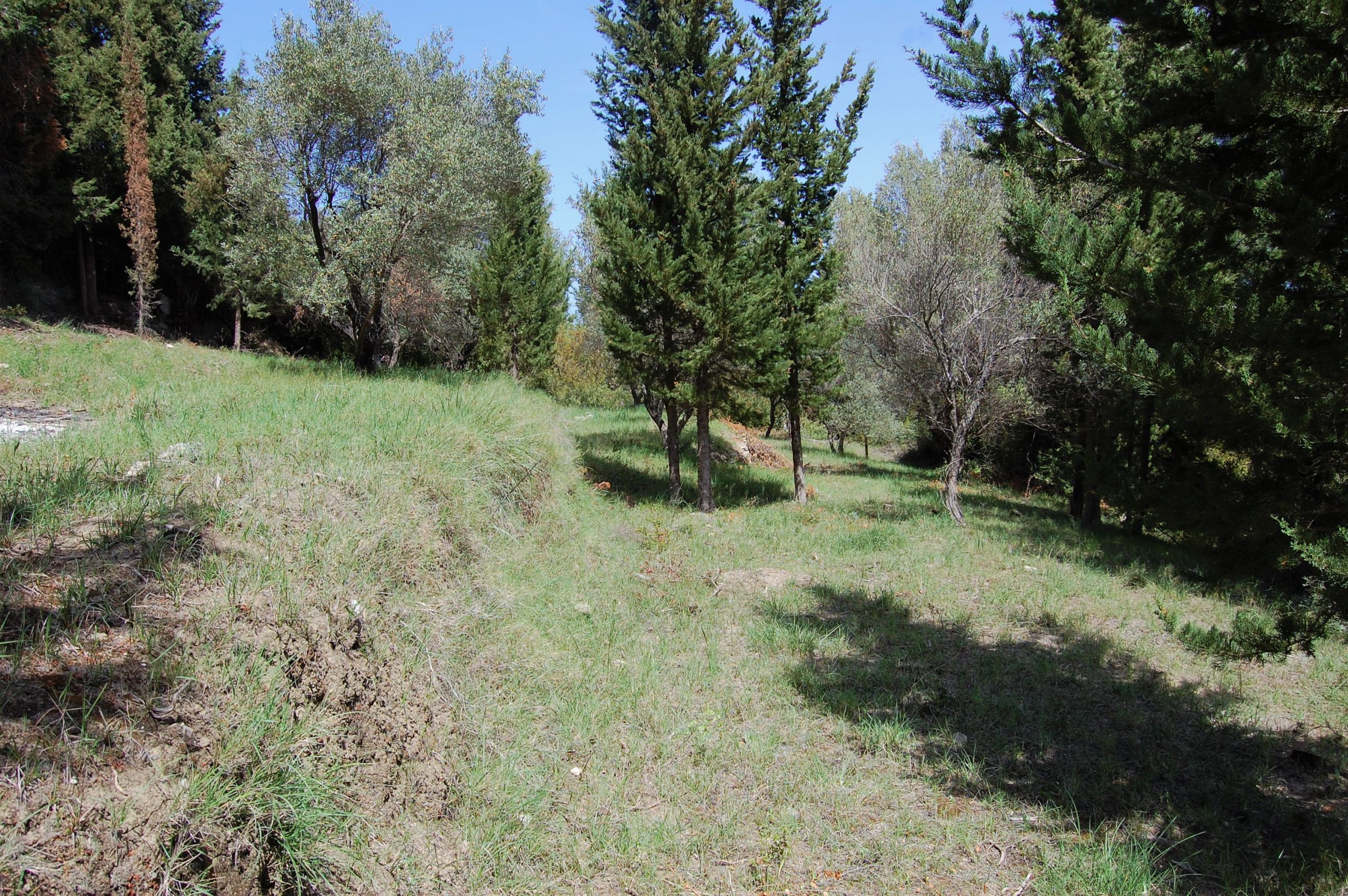 Exterior view of land for sale Ithaca Greece