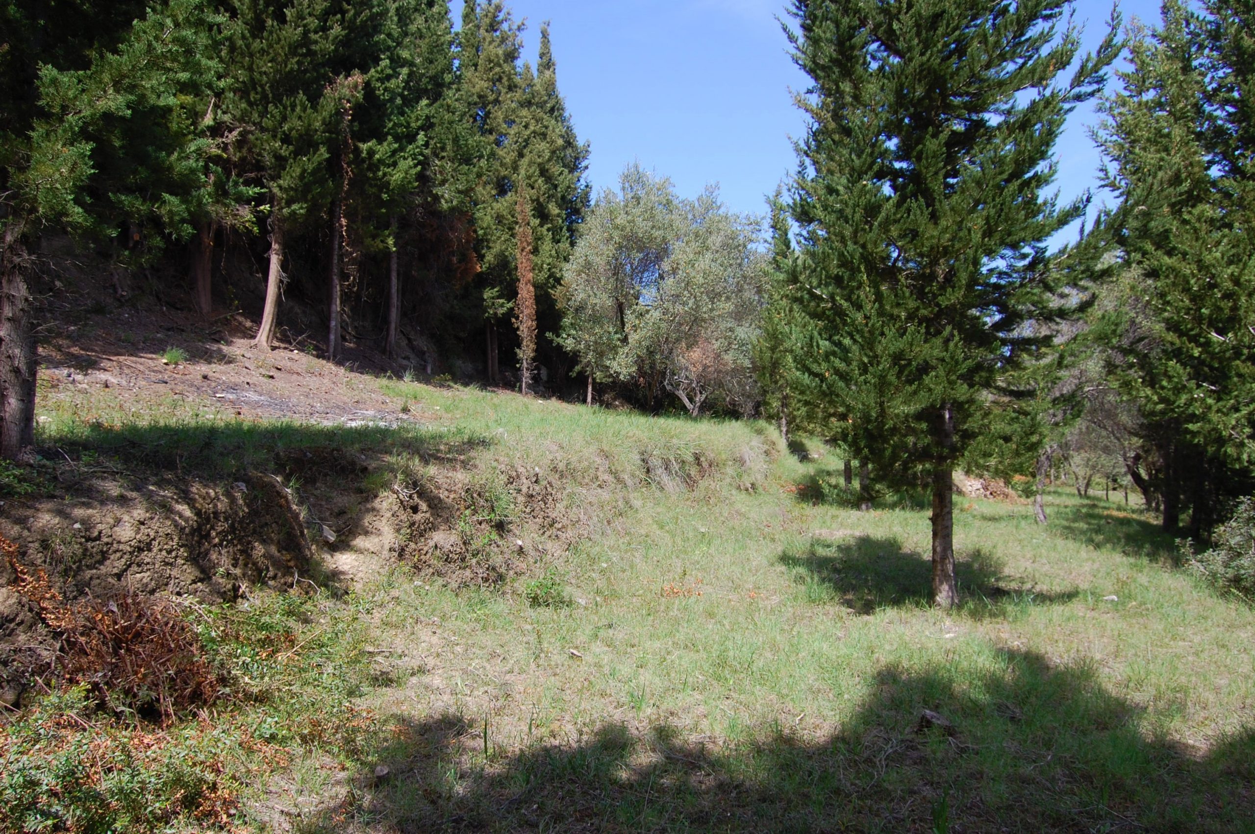 Exterior view of land for sale Ithaca Greece