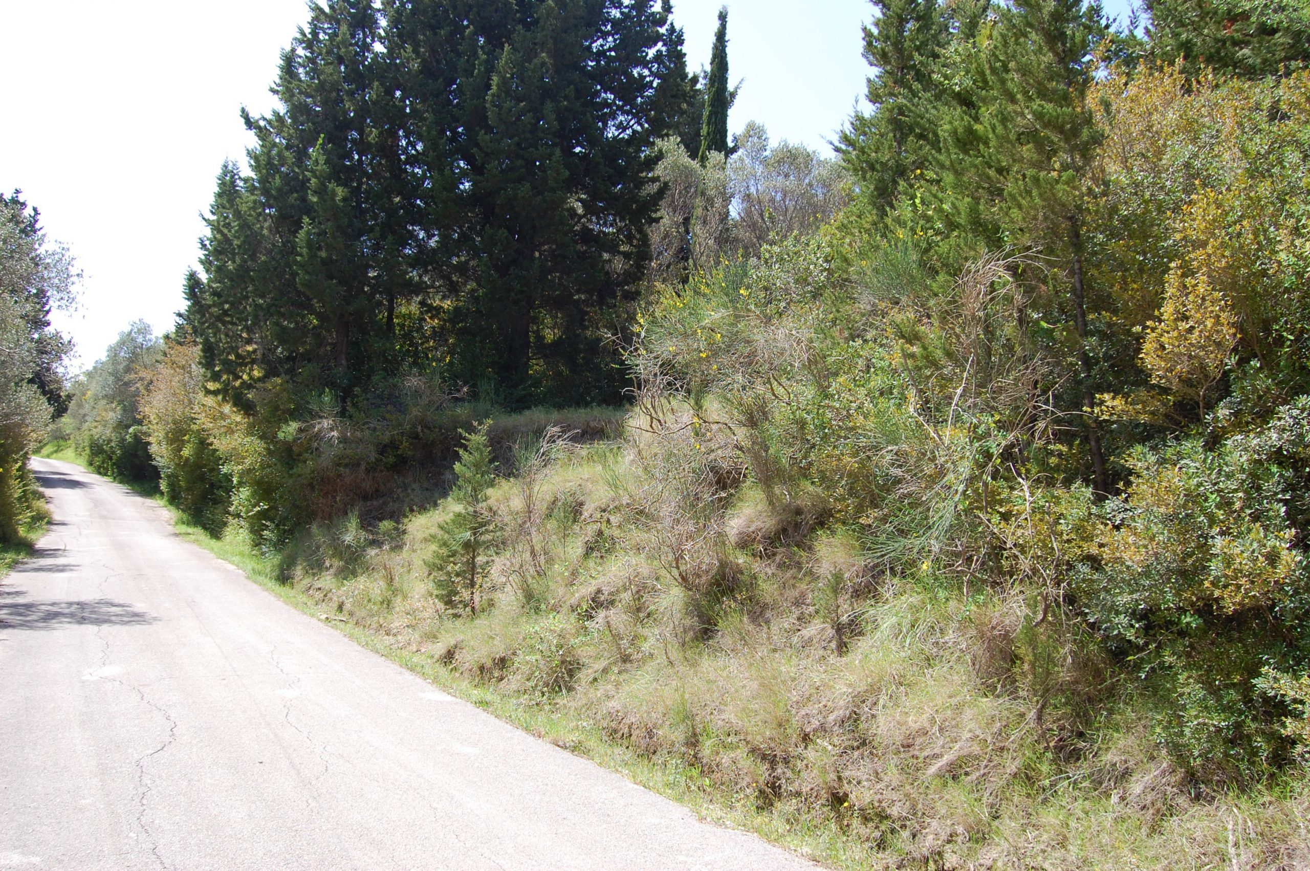 Exterior view of land for sale Ithaca Greece