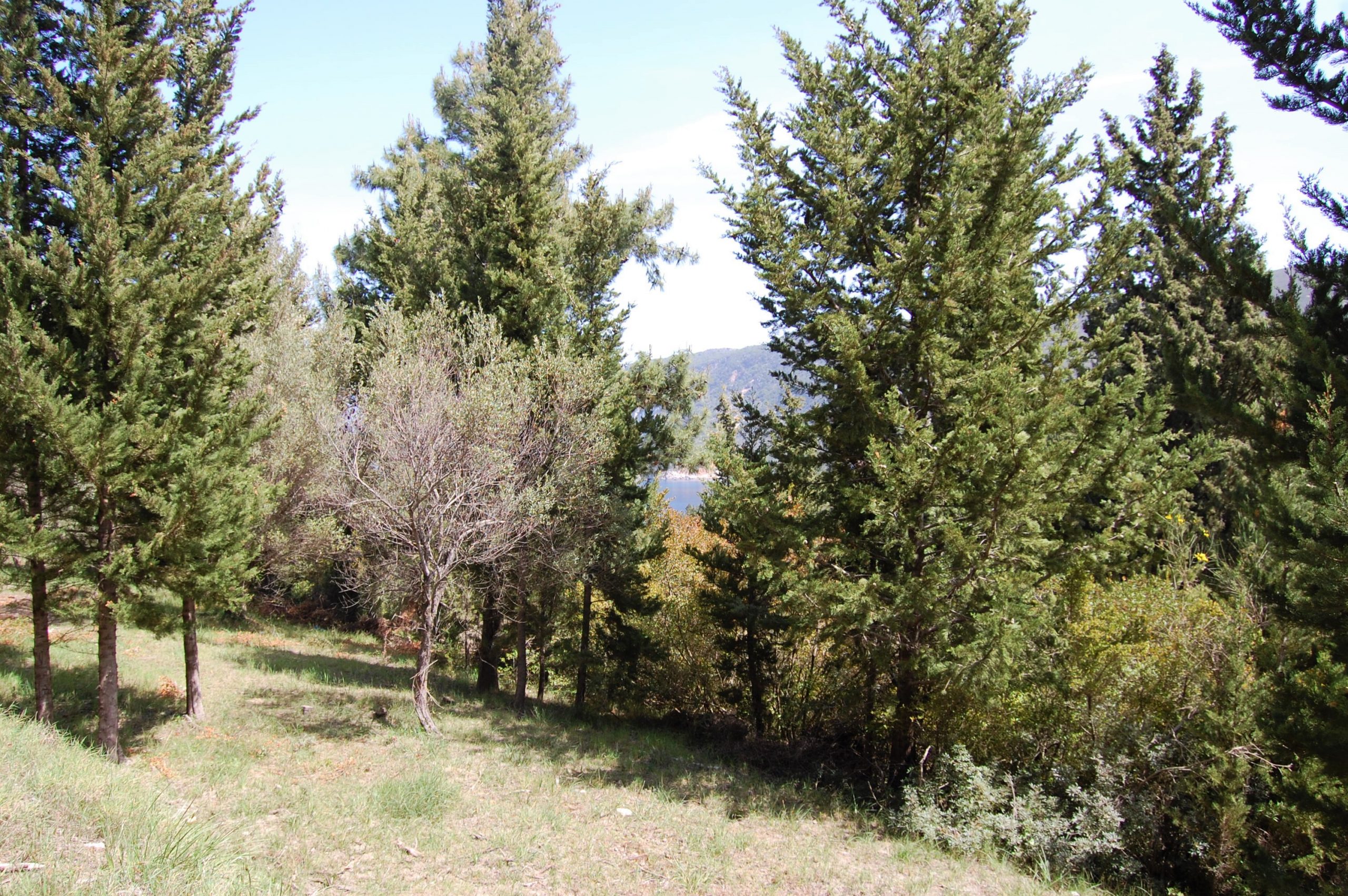 Exterior view of land for sale Ithaca Greece