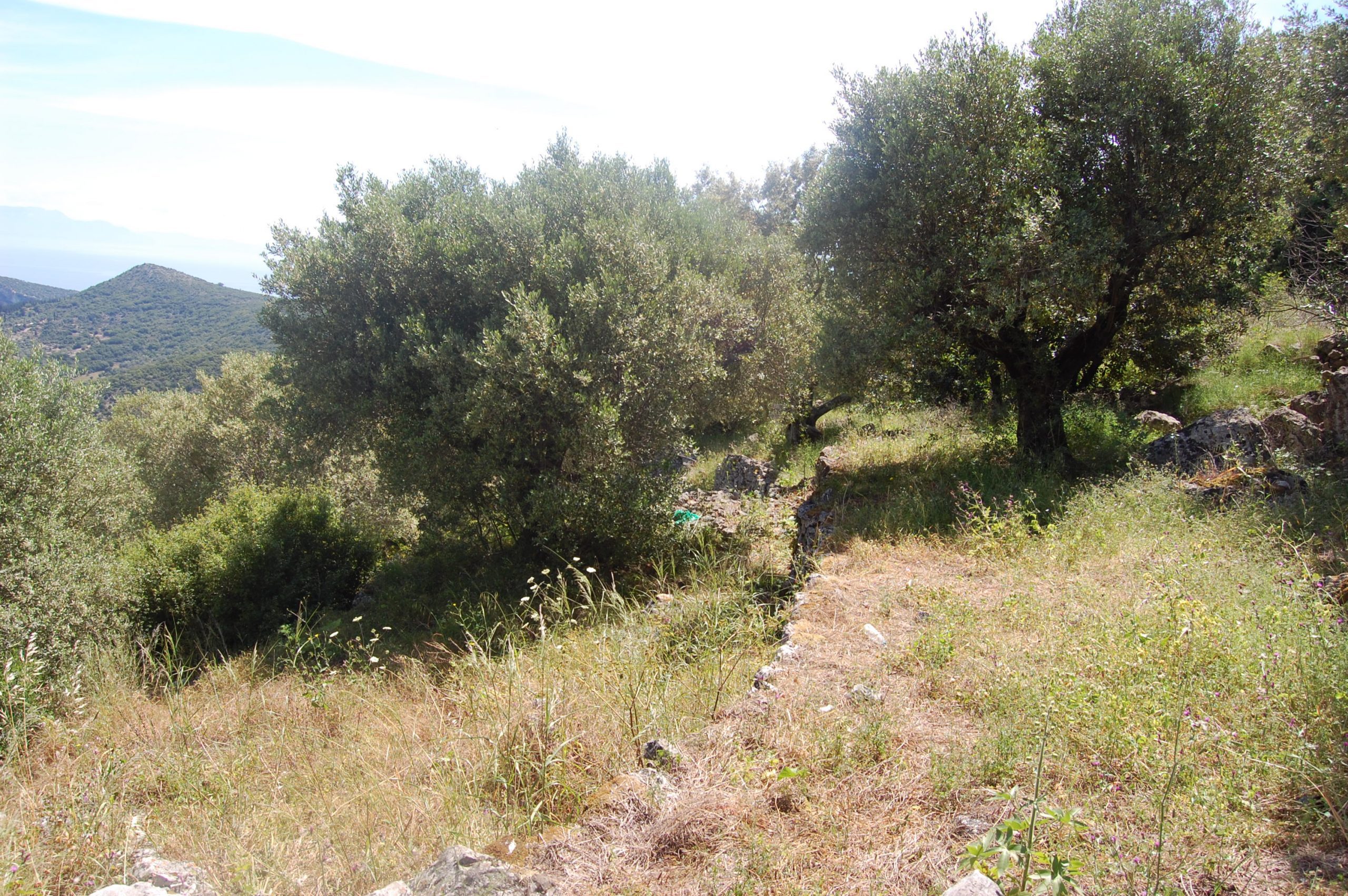 Landscape and terrain of land for sale on Ithaca Greece