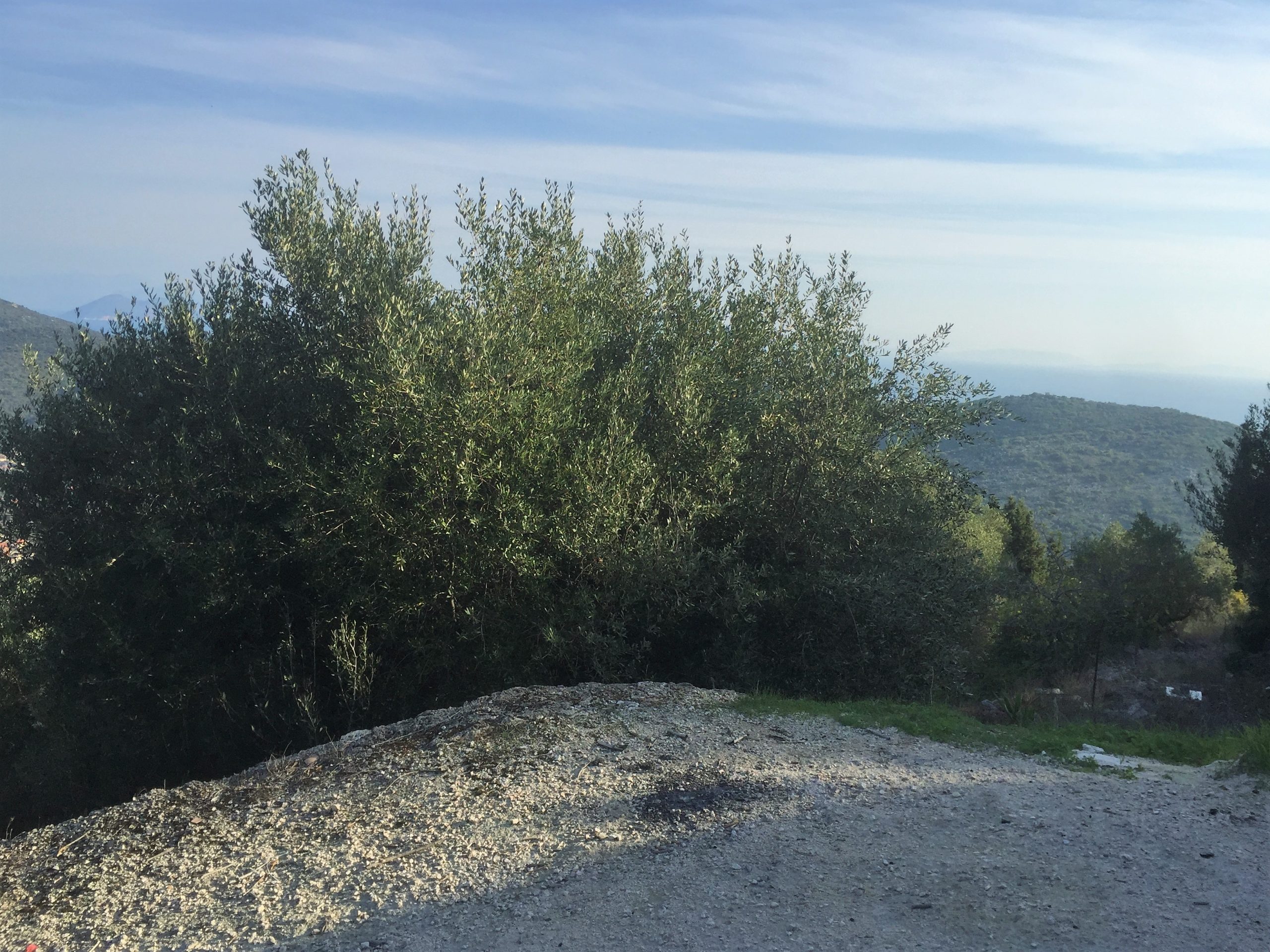 Landscape and terrain of land for sale on Ithaca Greece