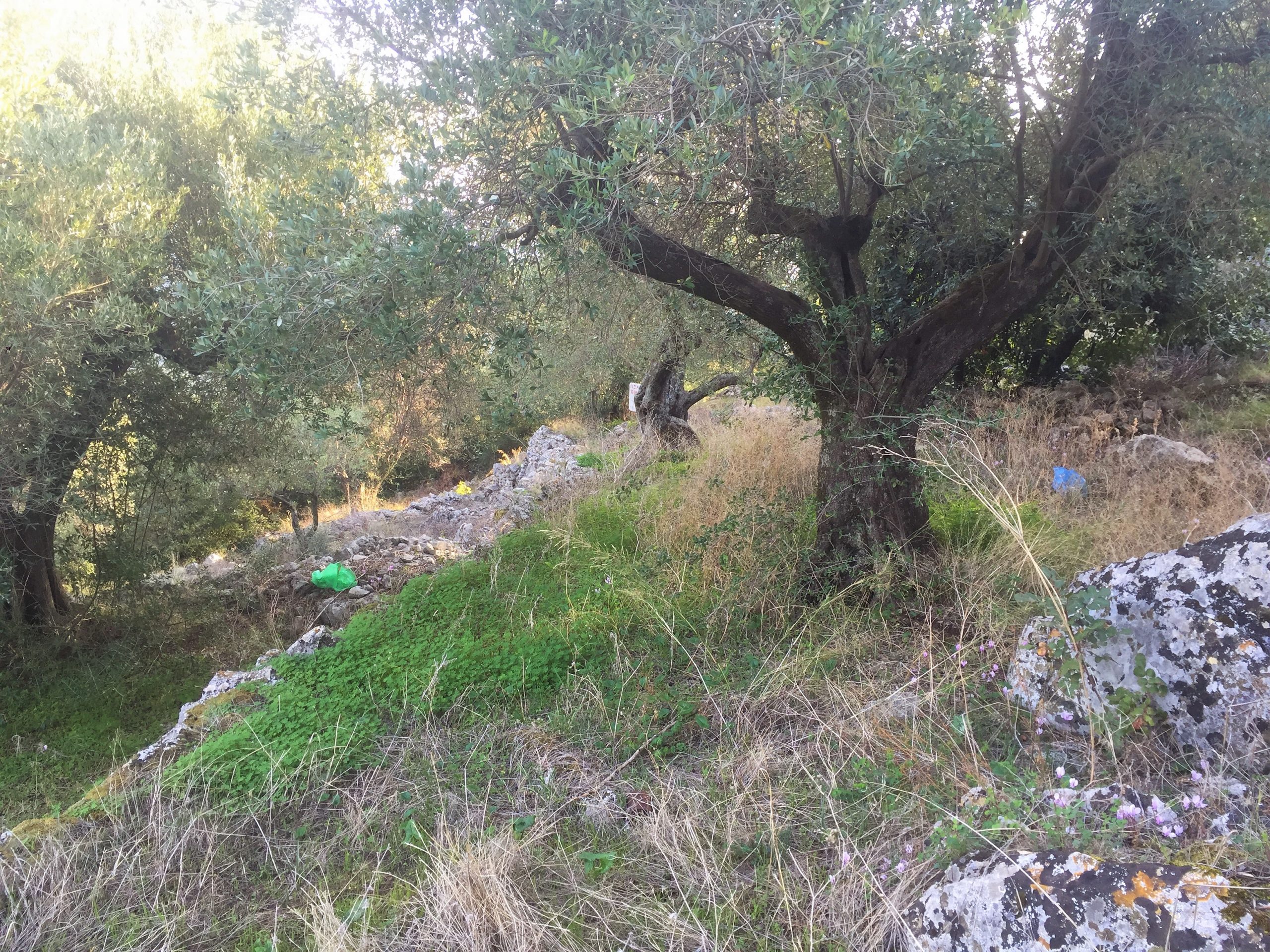 Landscape and terrain of land for sale on Ithaca Greece