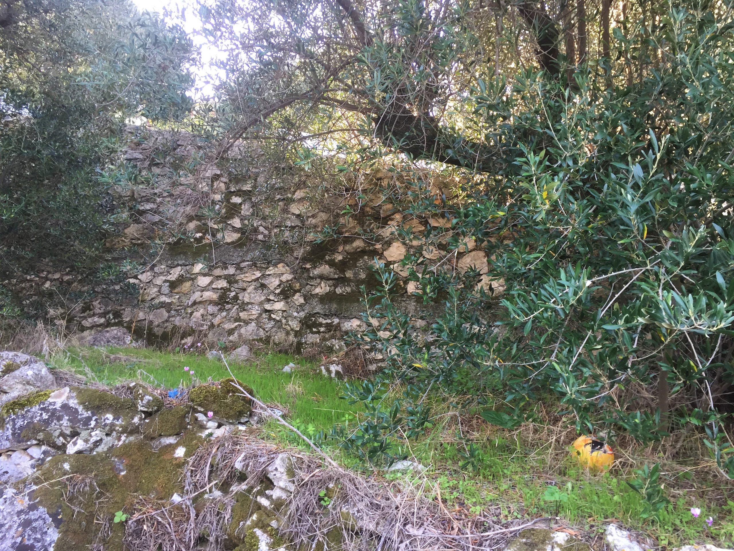 Landscape and terrain of land for sale on Ithaca Greece