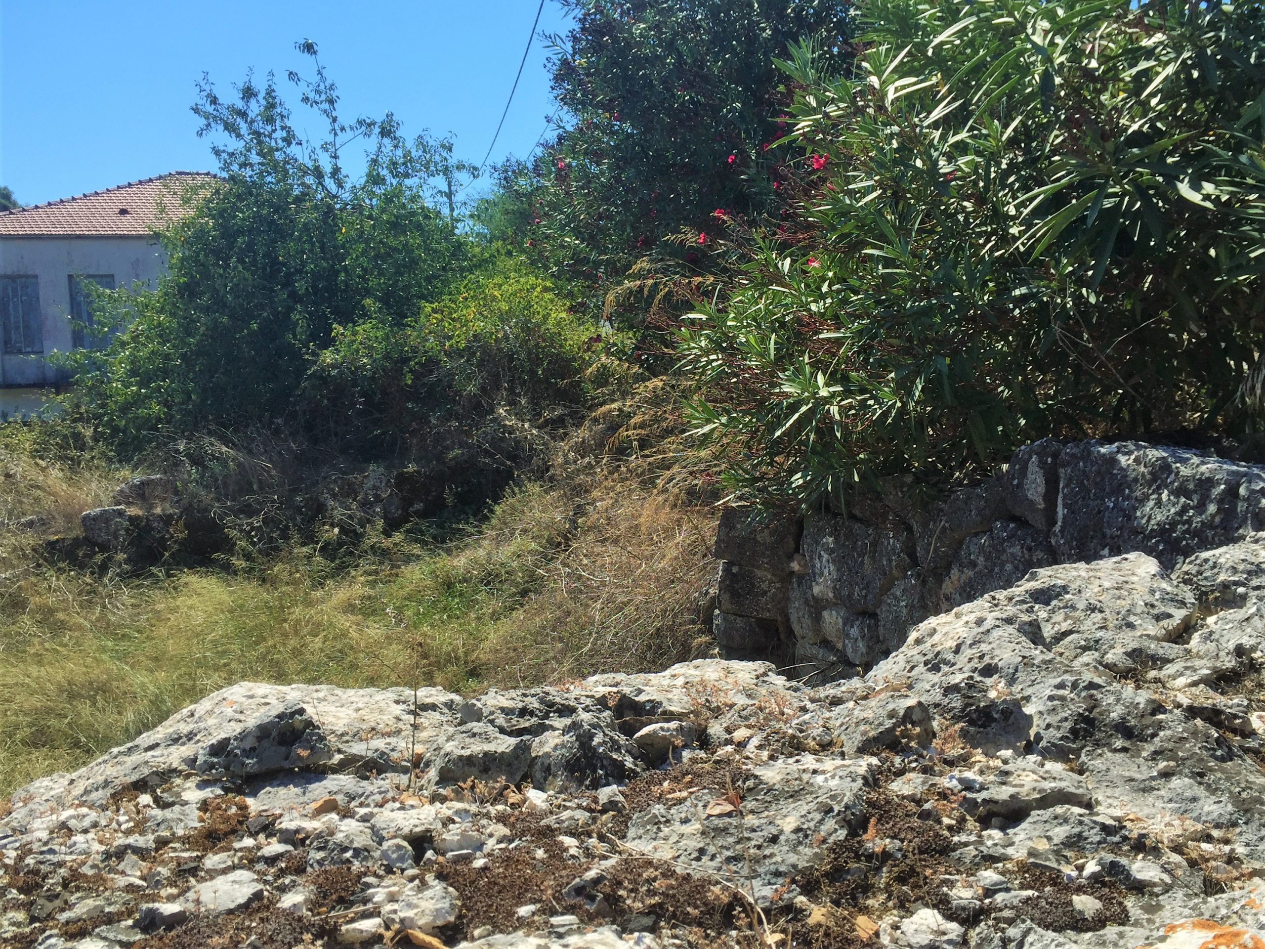 Landscape terrain of land for sale Ithaca Greece Anoghi