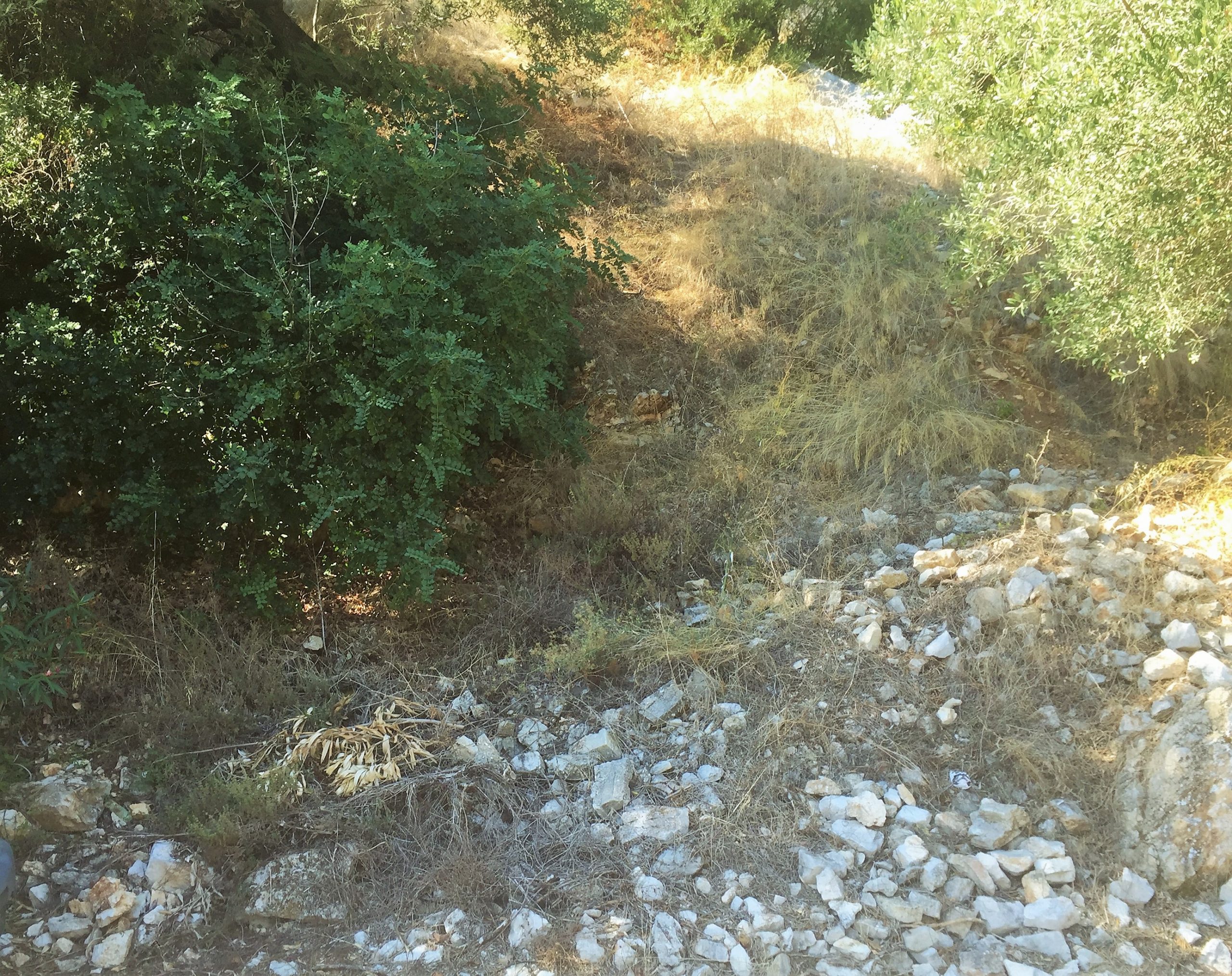 Landscape and terrain of land for sale on Ithaca Greece in Kioni