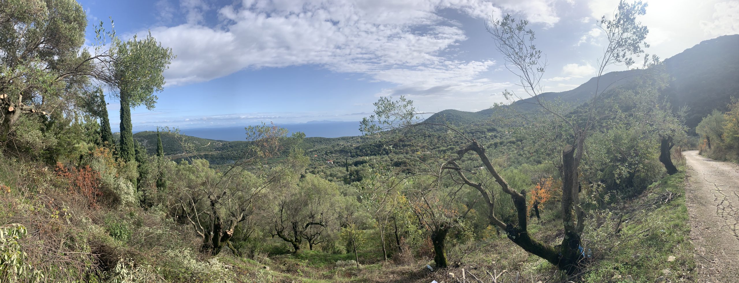 Land for sale on Ithaca Greece, Perachori