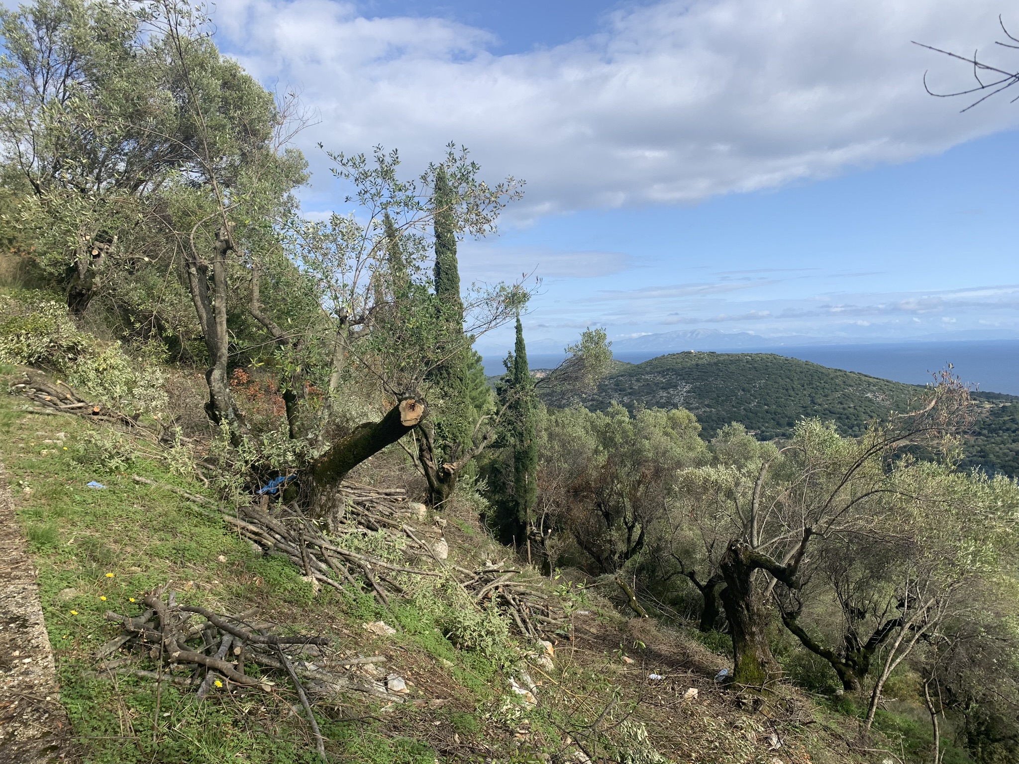 Land for sale on Ithaca Greece, Perachori