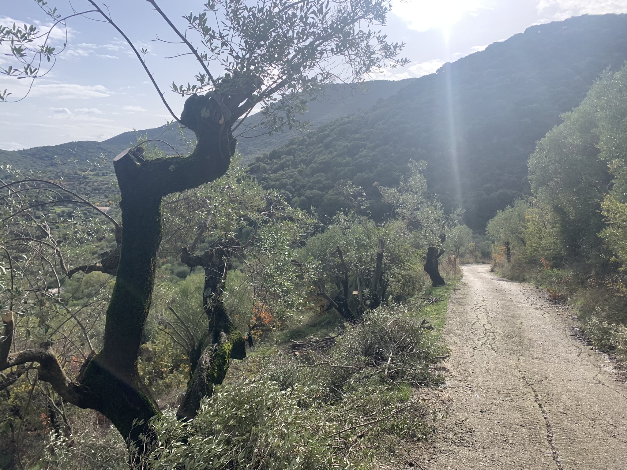 Land for sale on Ithaca Greece, Perachori