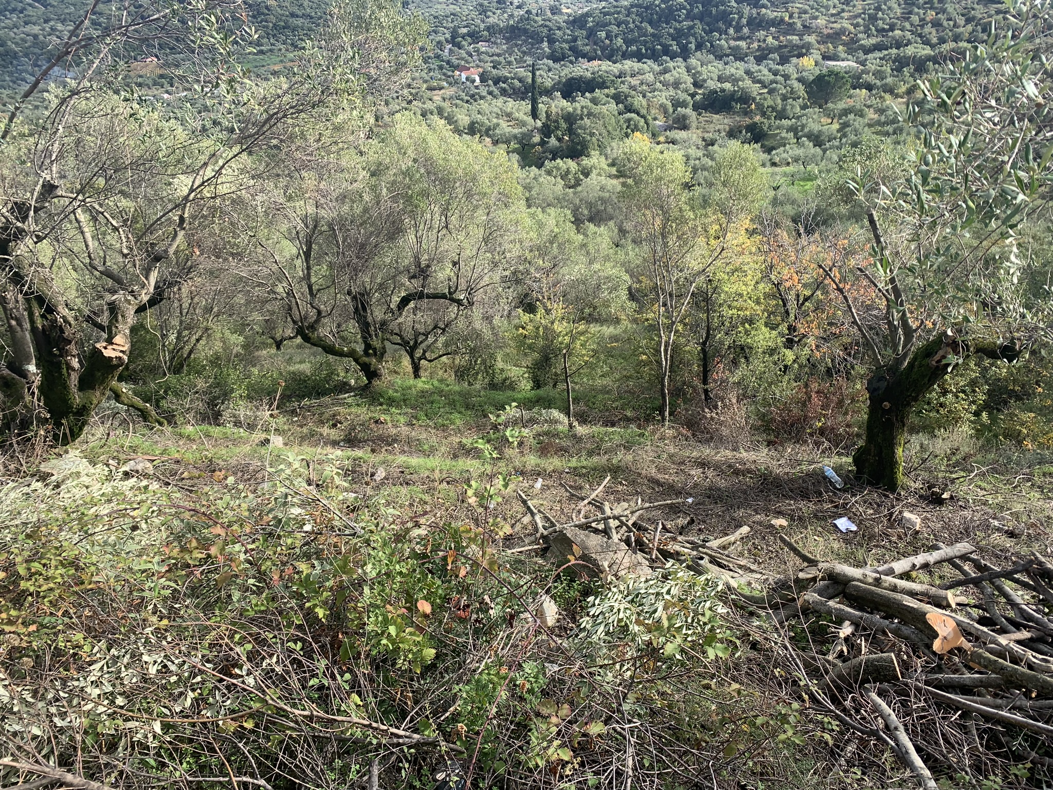 Land for sale on Ithaca Greece, Perachori