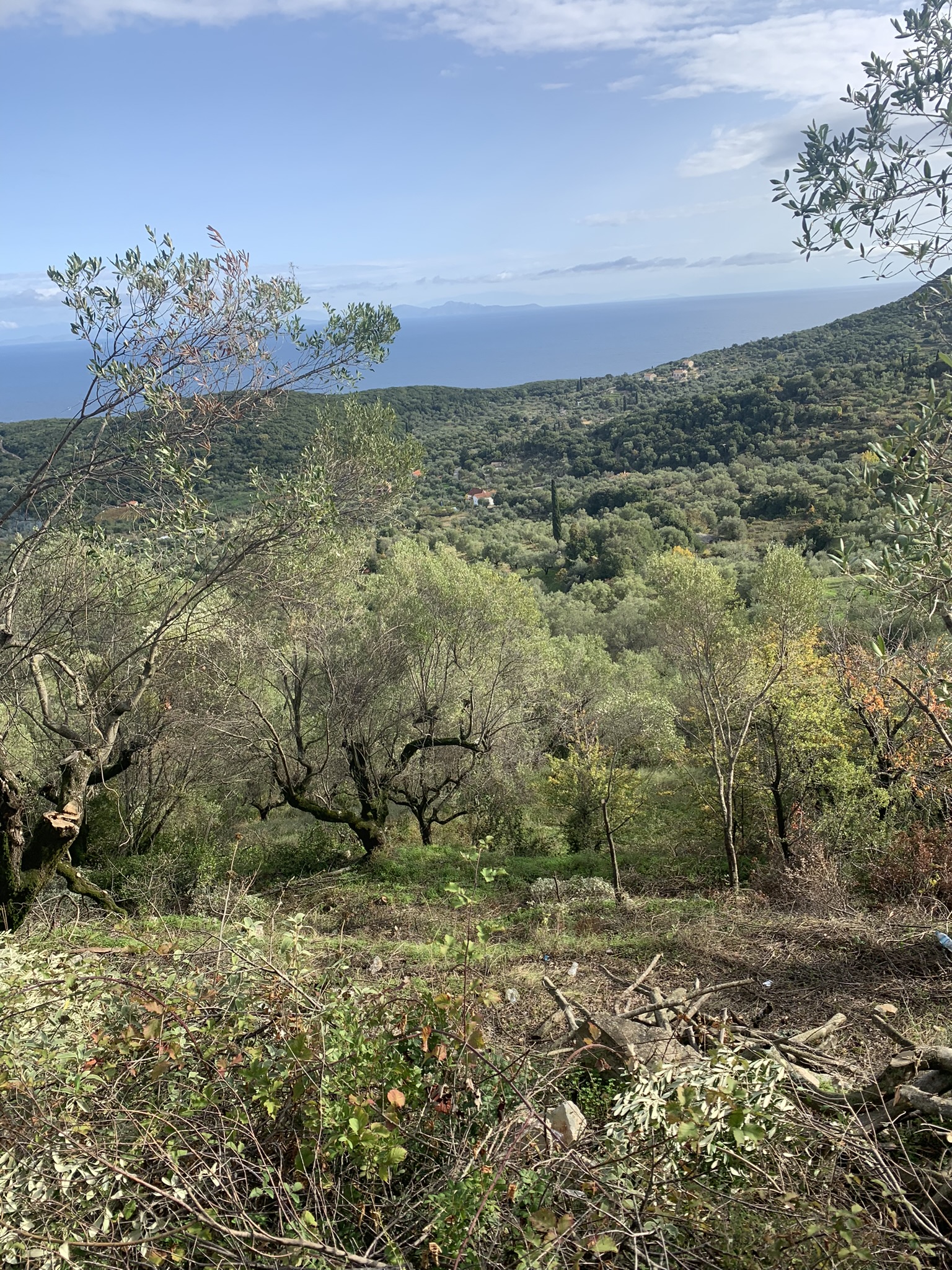 Land for sale on Ithaca Greece, Perachori