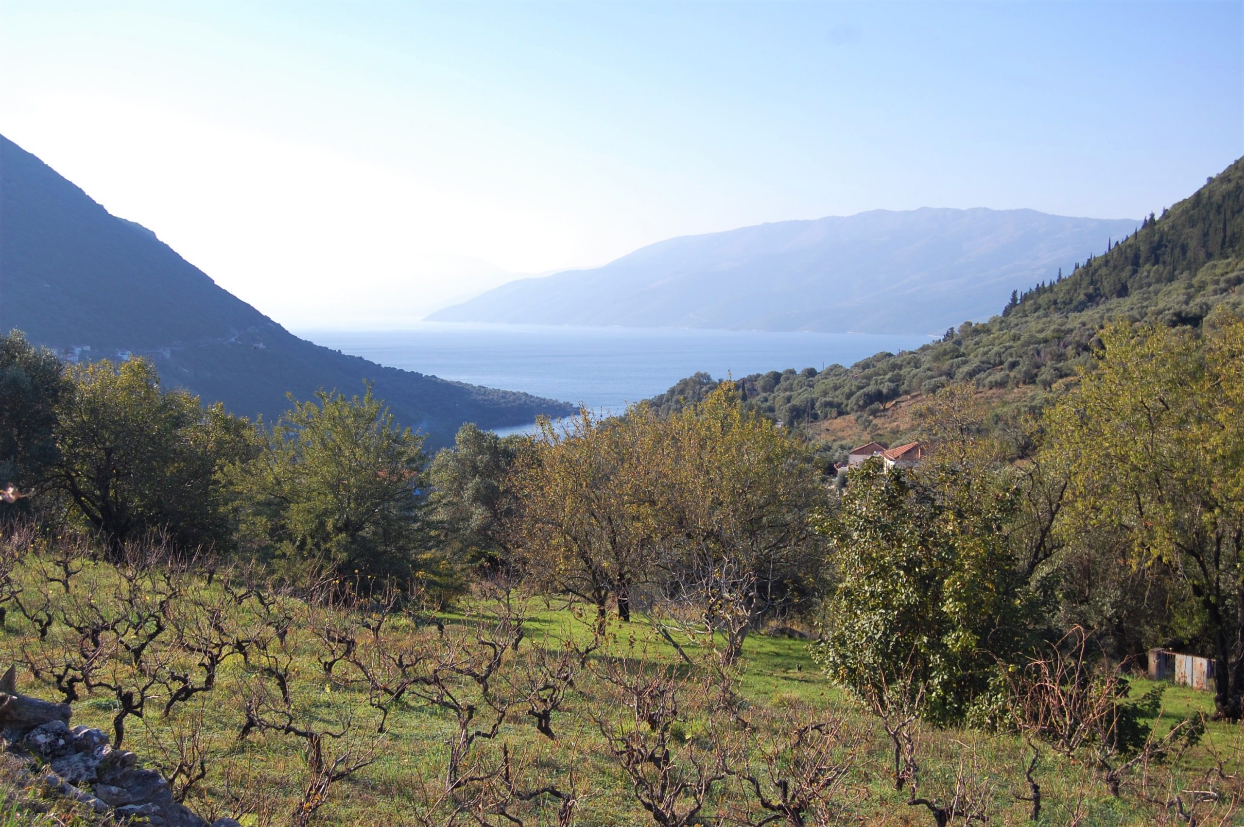 Landscape and terrain of land for sale on Ithaca Greece