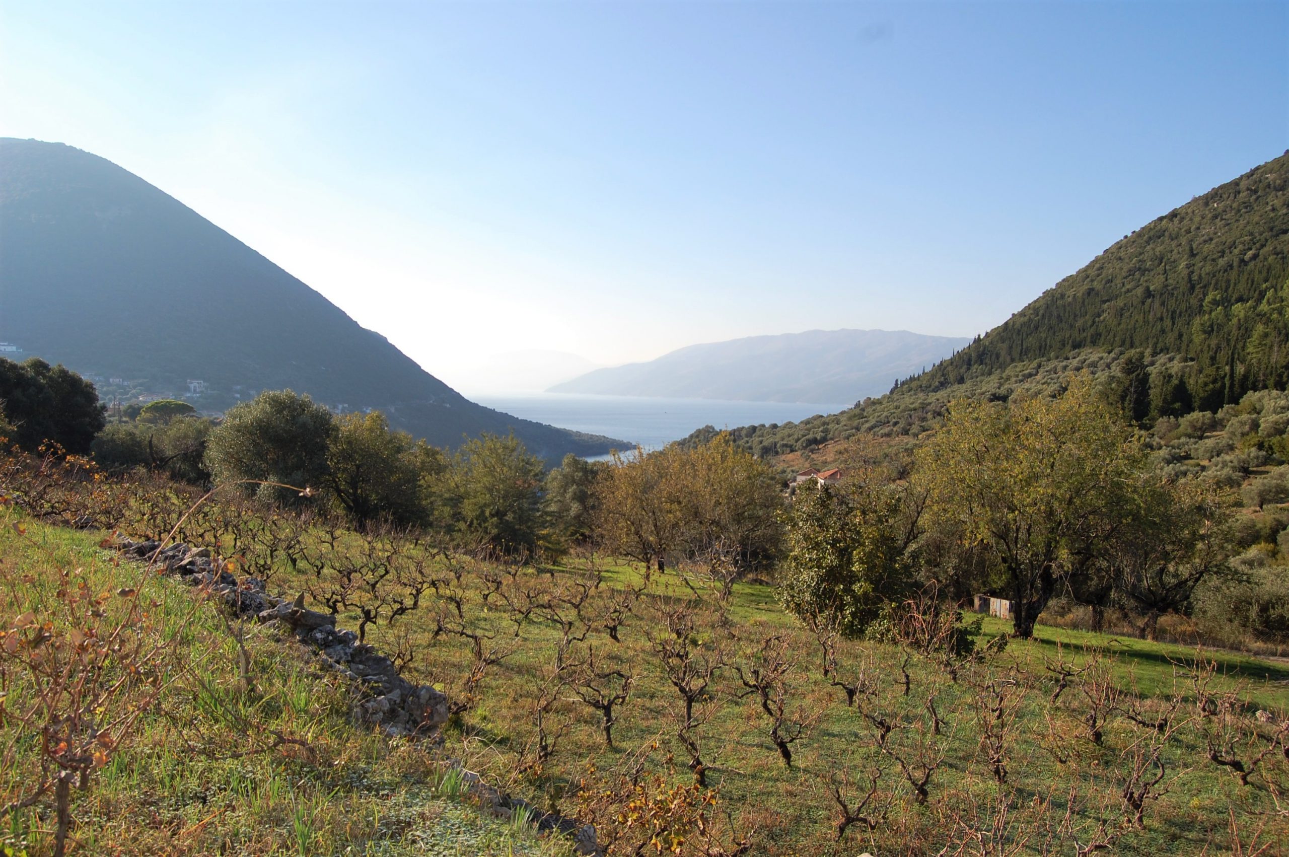 Landscape and terrain of land for sale on Ithaca Greece