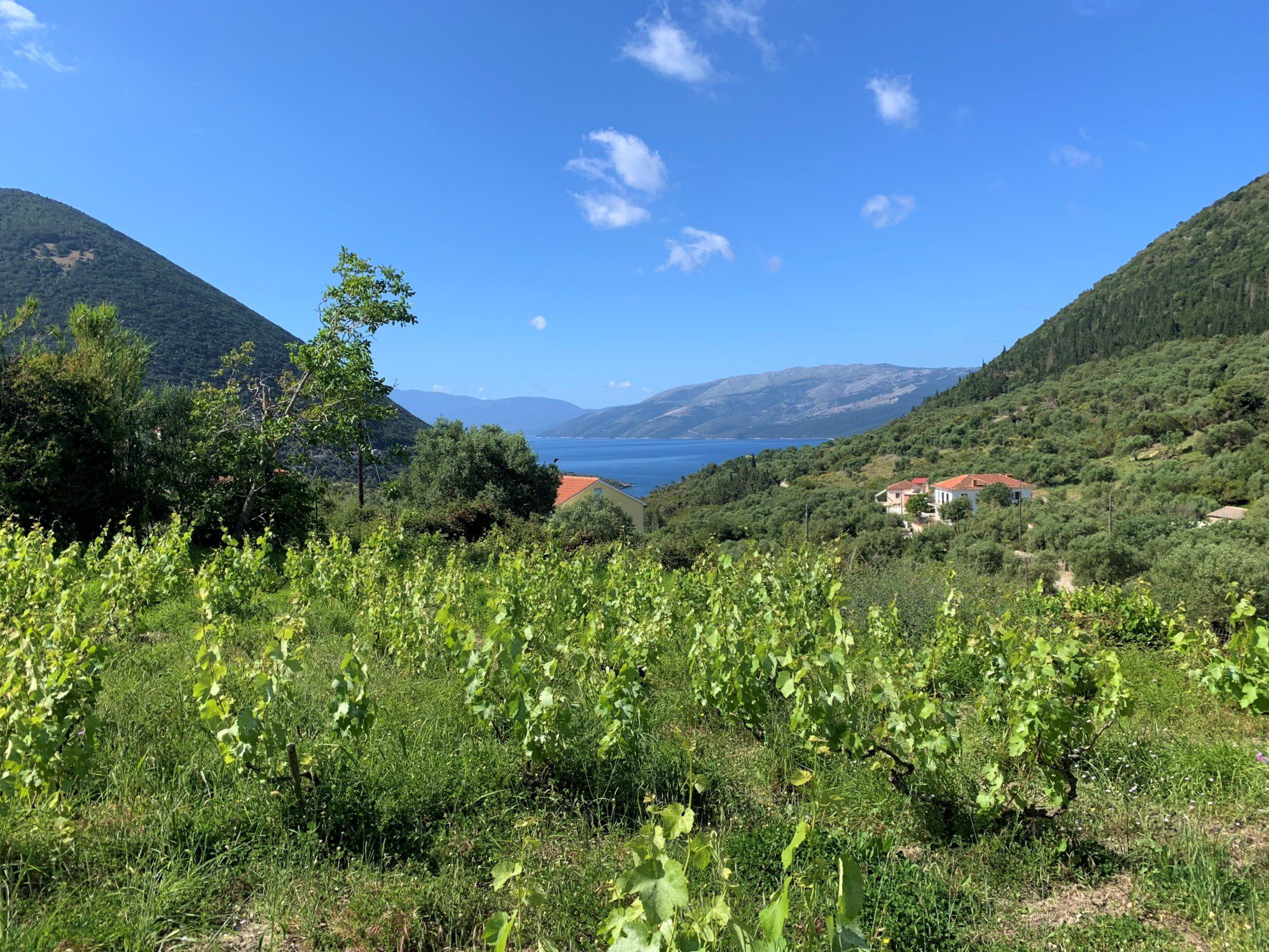 Landscape and terrain of land for sale in Ithaca Greece, Stavros
