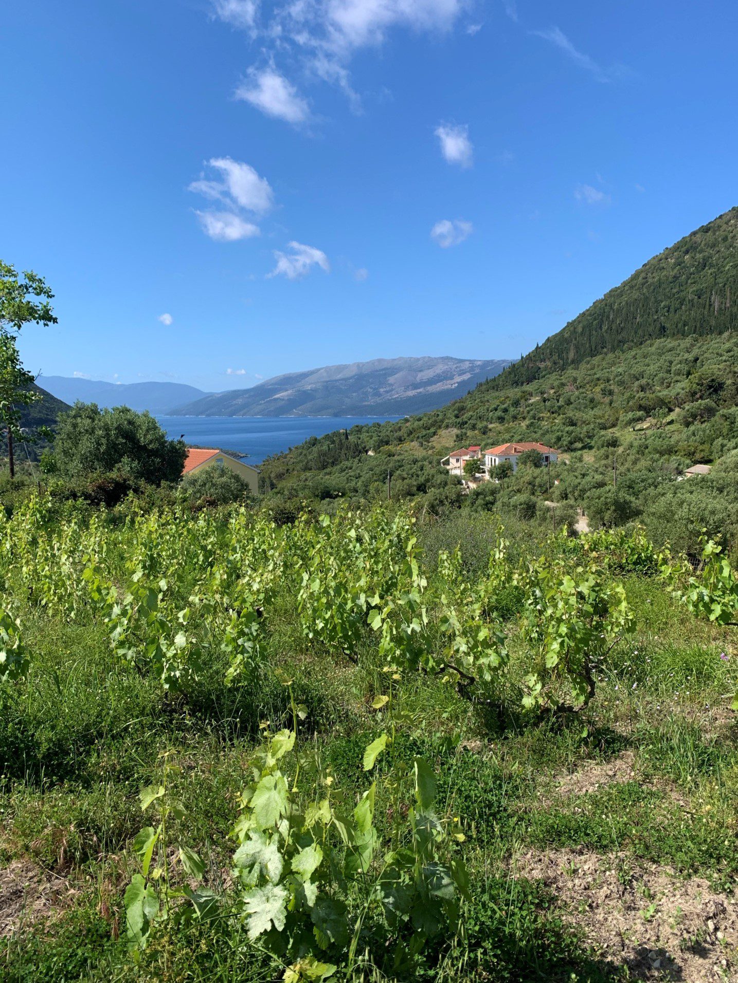Landscape and terrain of land for sale in Ithaca Greece, Stavros