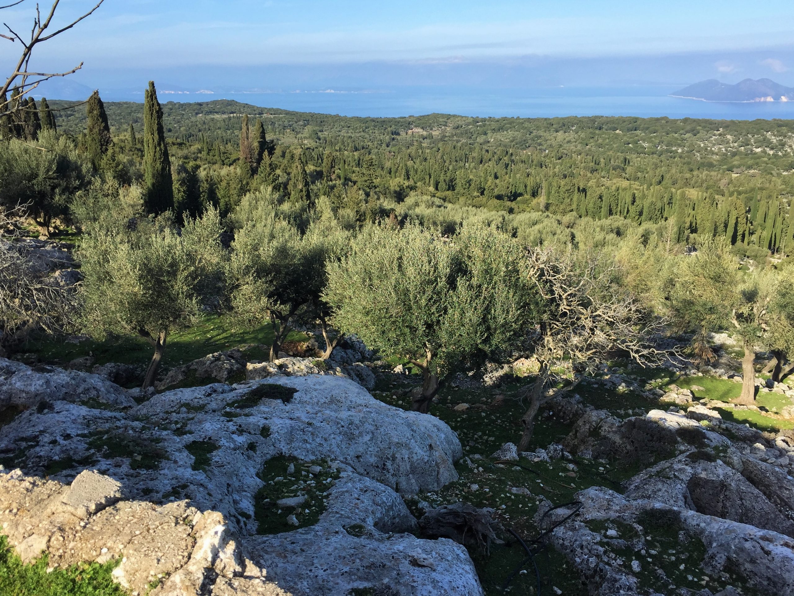 Landscape and terrain of land for sale on Ithaca Greece