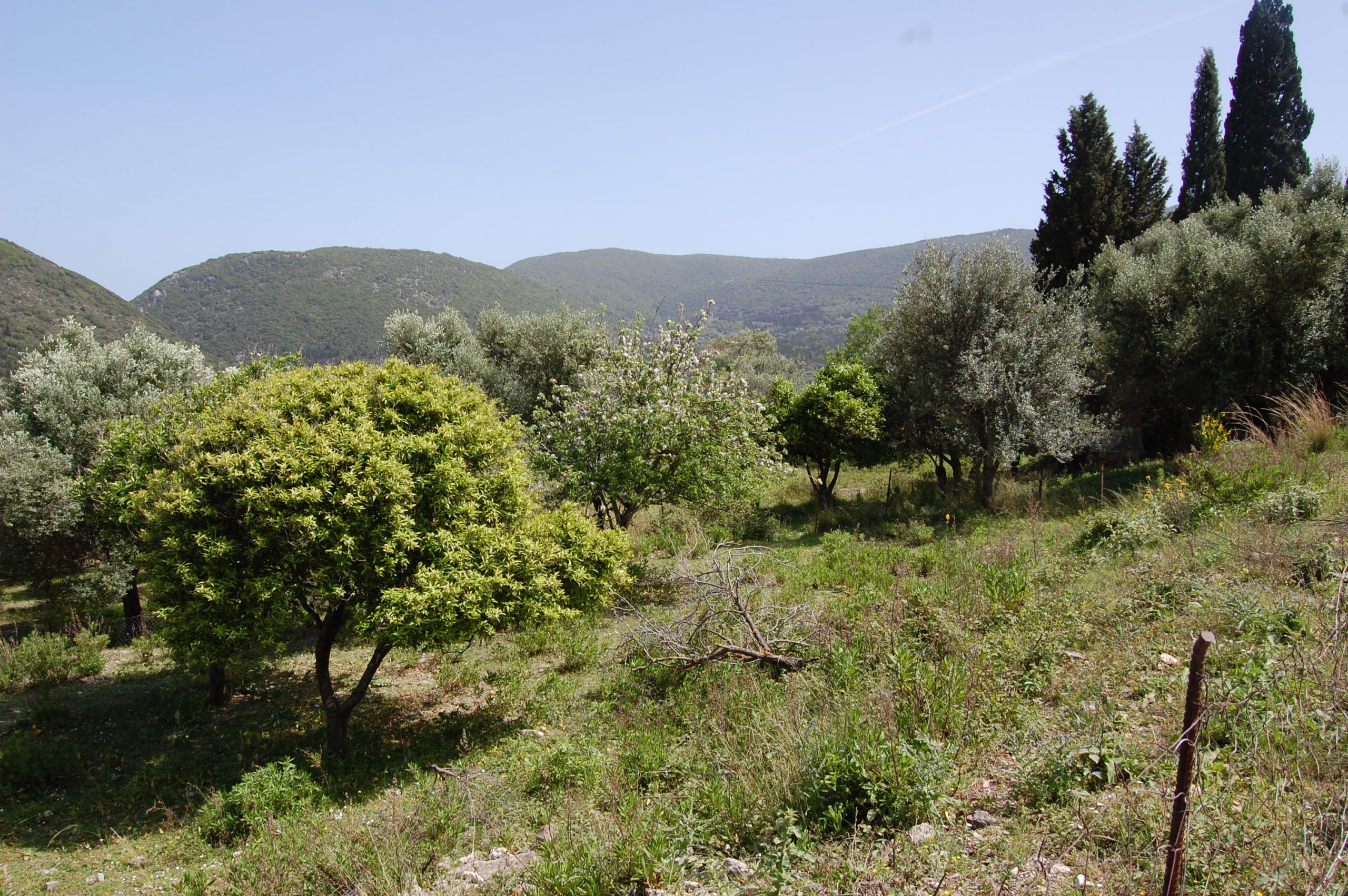 Exterior view of land for sale Ithaca Greece
