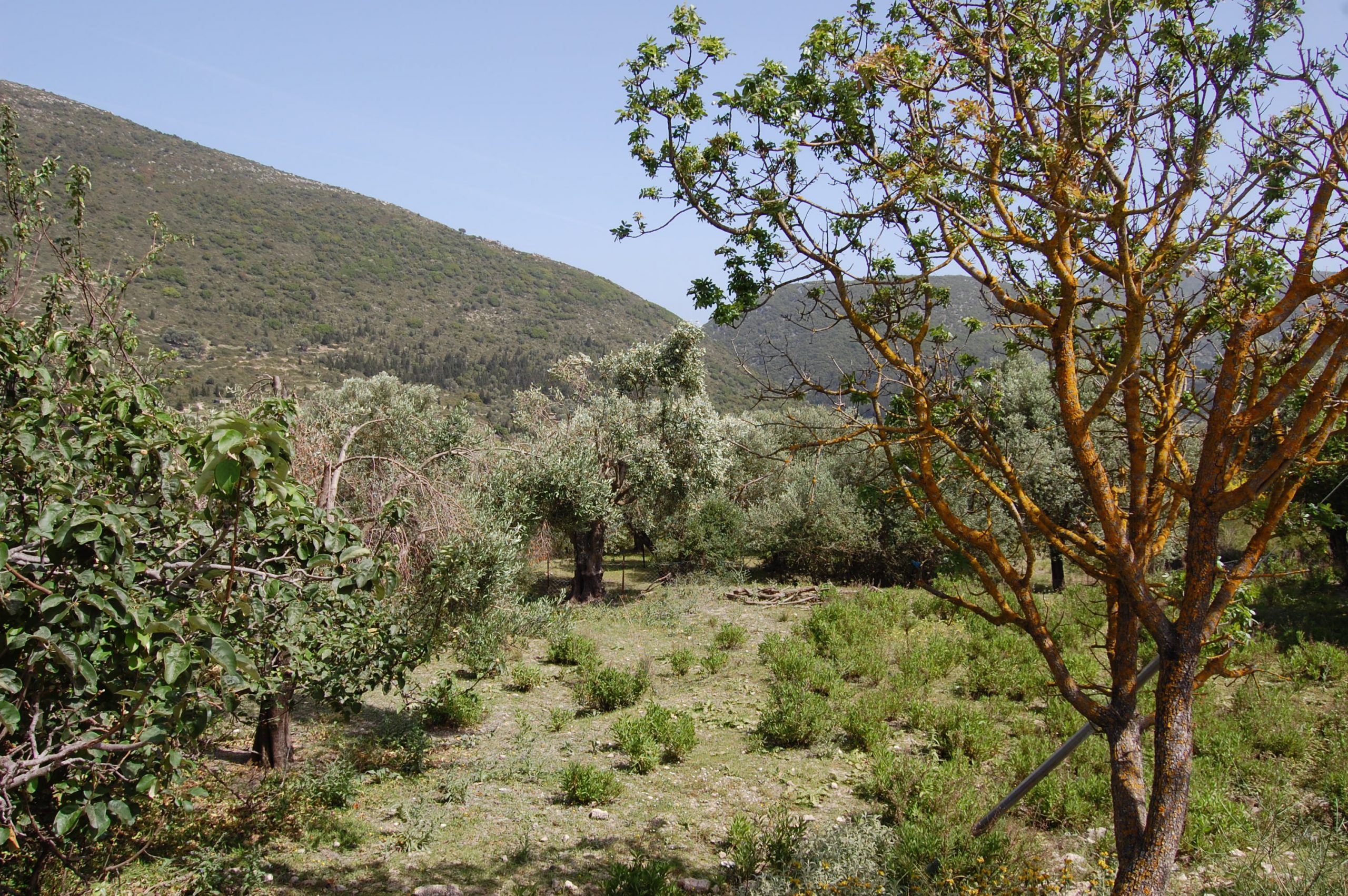 Exterior view of land for sale Ithaca Greece