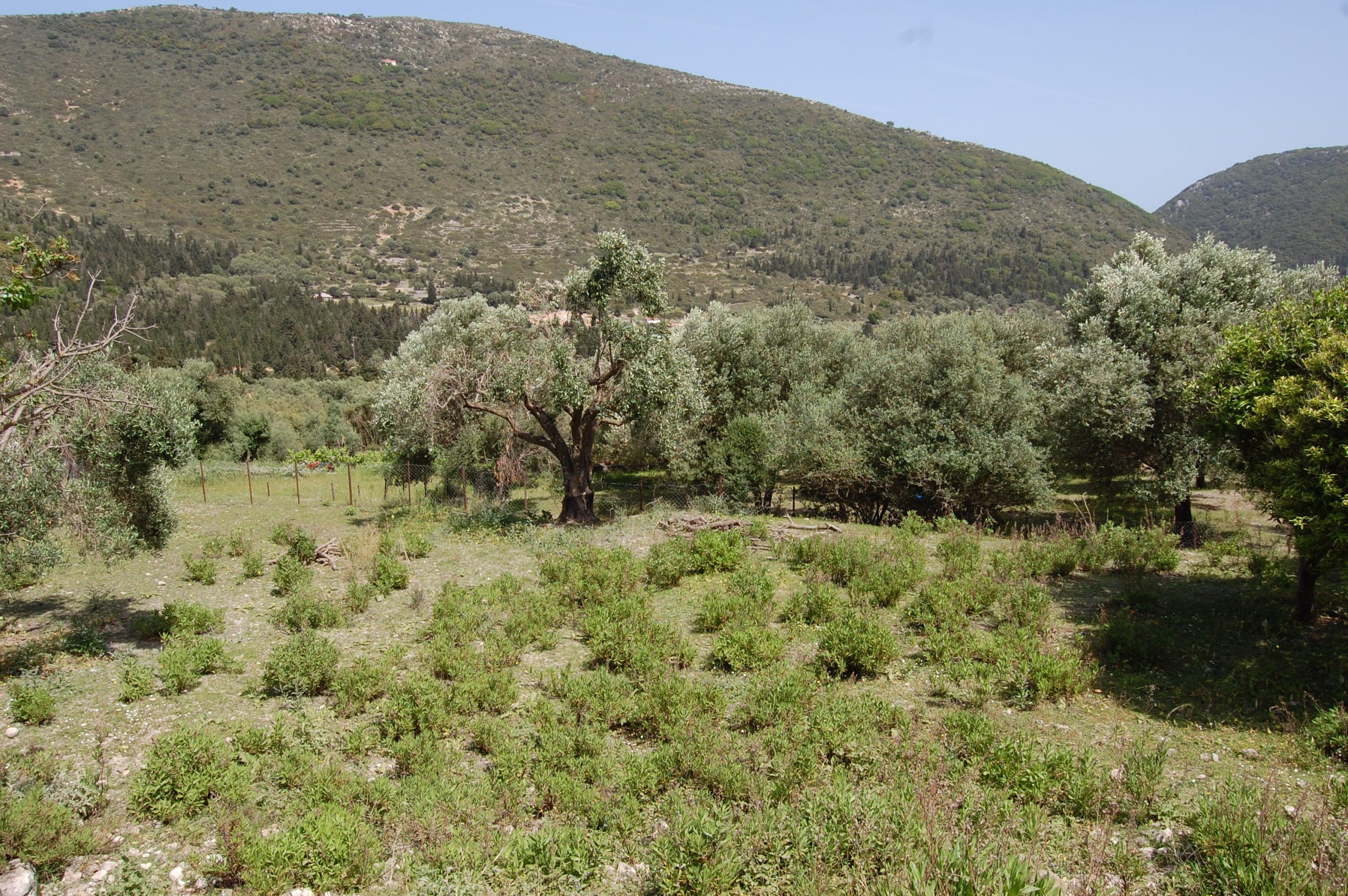 Exterior view of land for sale Ithaca Greece