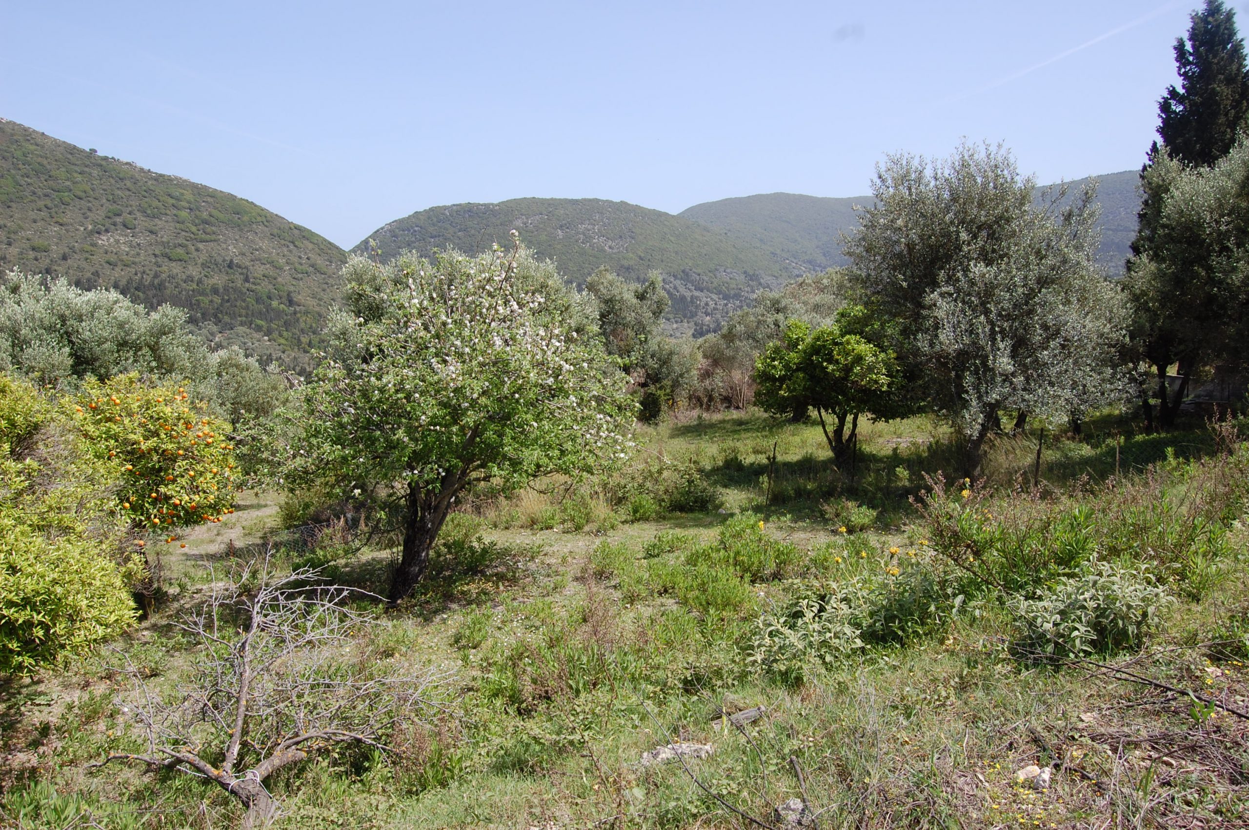 Exterior view of land for sale Ithaca Greece