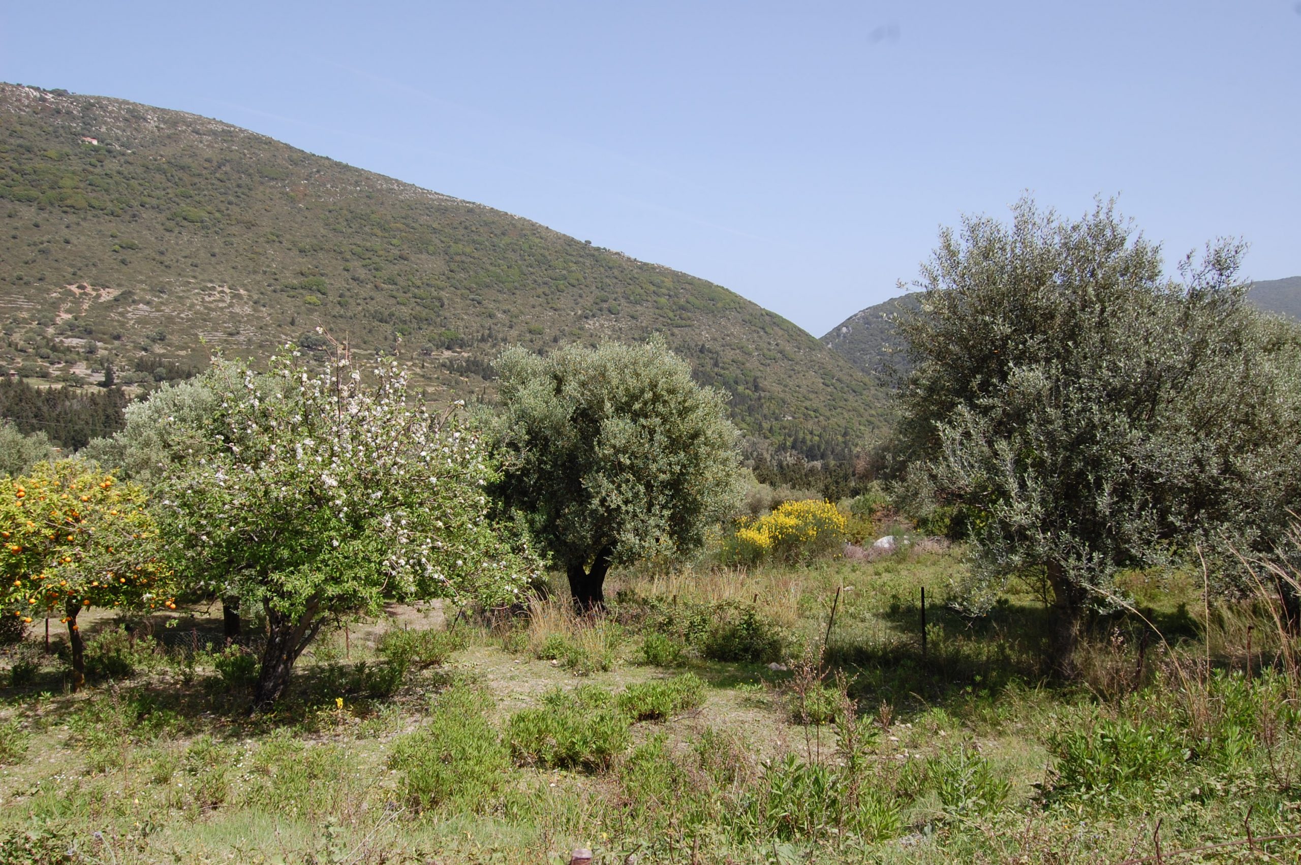 Exterior view of land for sale Ithaca Greece