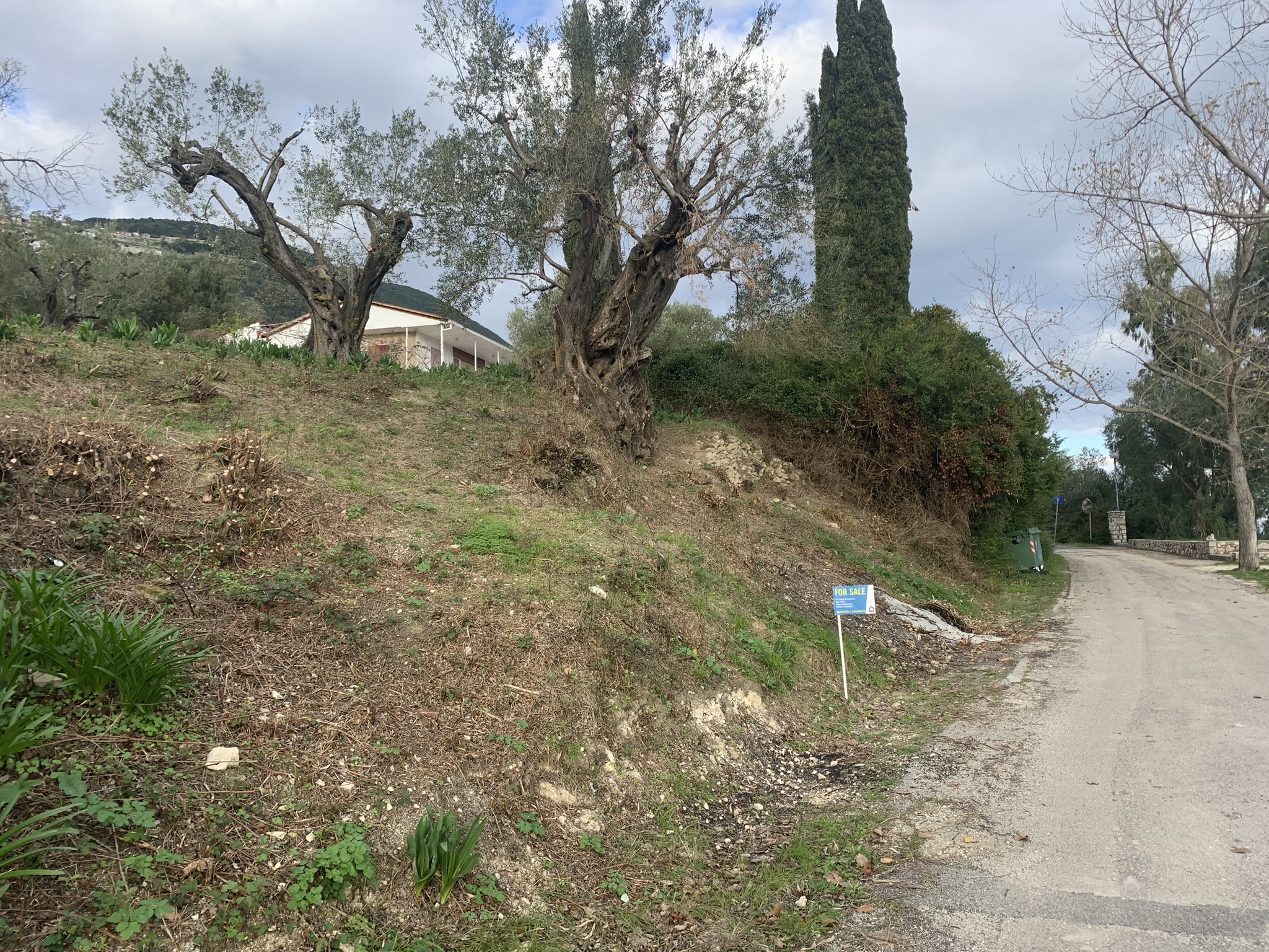 Terrain and landscape of land for sale, Ithaca Greece, Kolleri