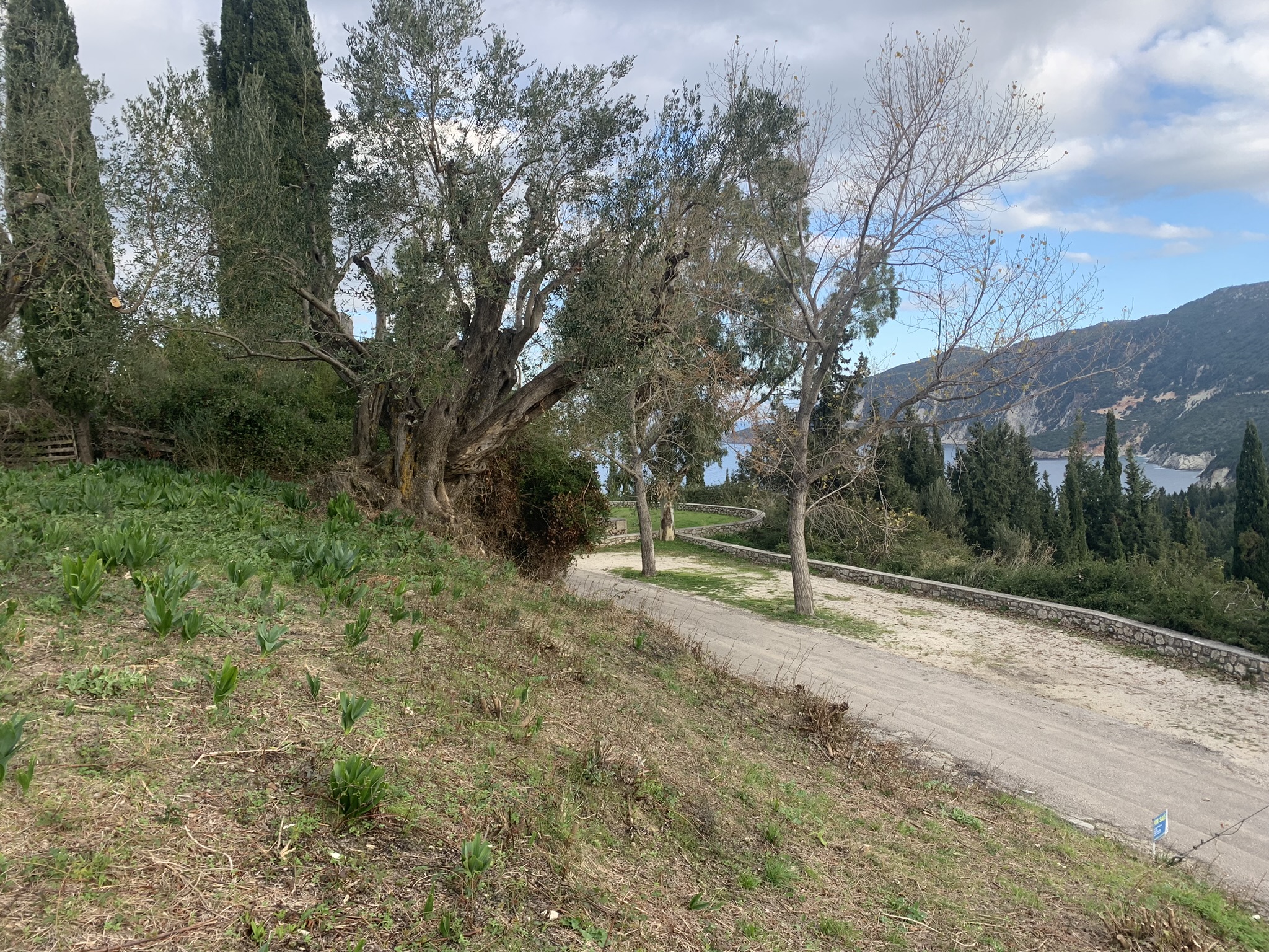 Terrain and landscape of land for sale, Ithaca Greece, Kolleri