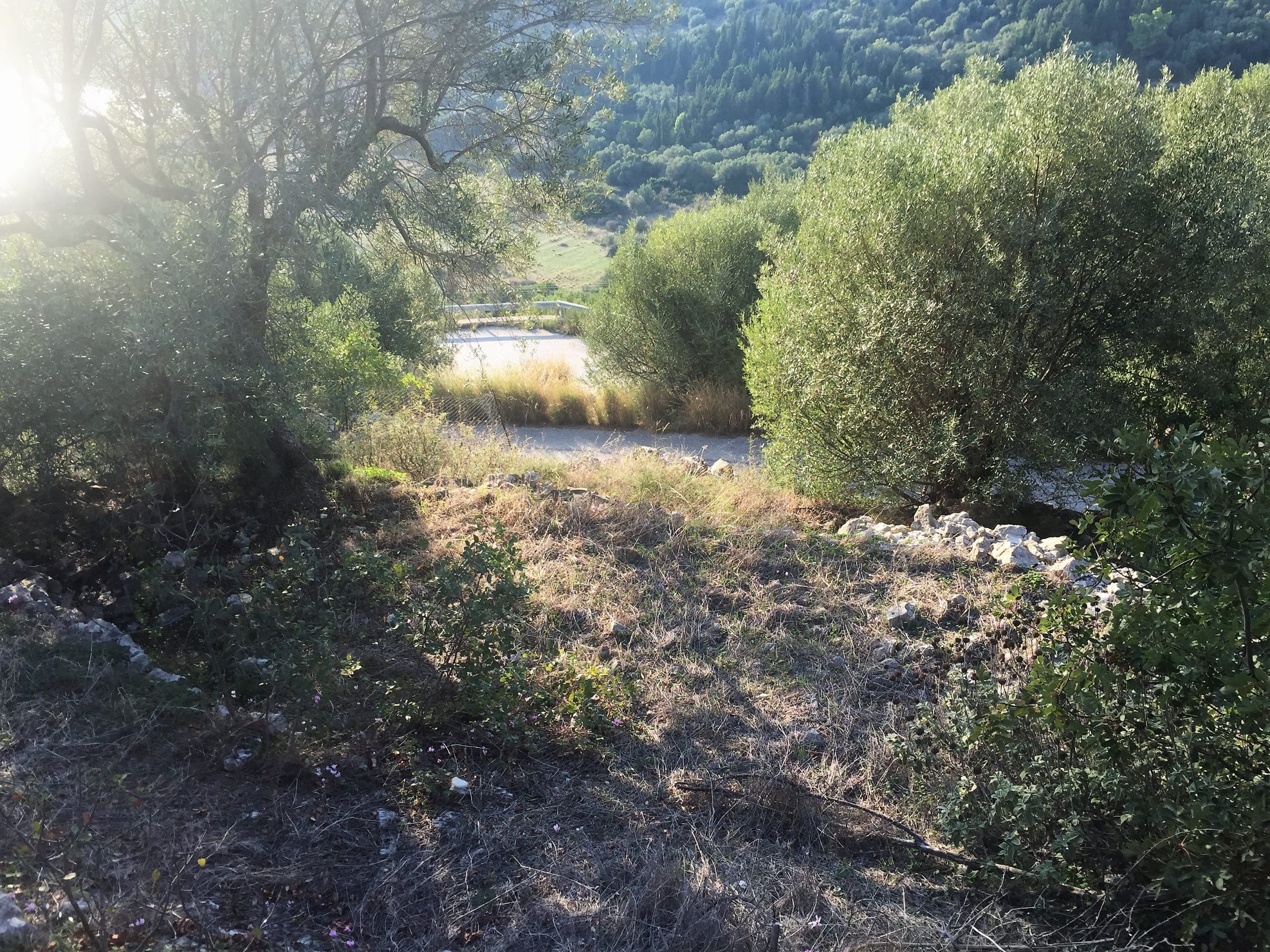 Landscape and terrain of land for sale on Ithaca Greece