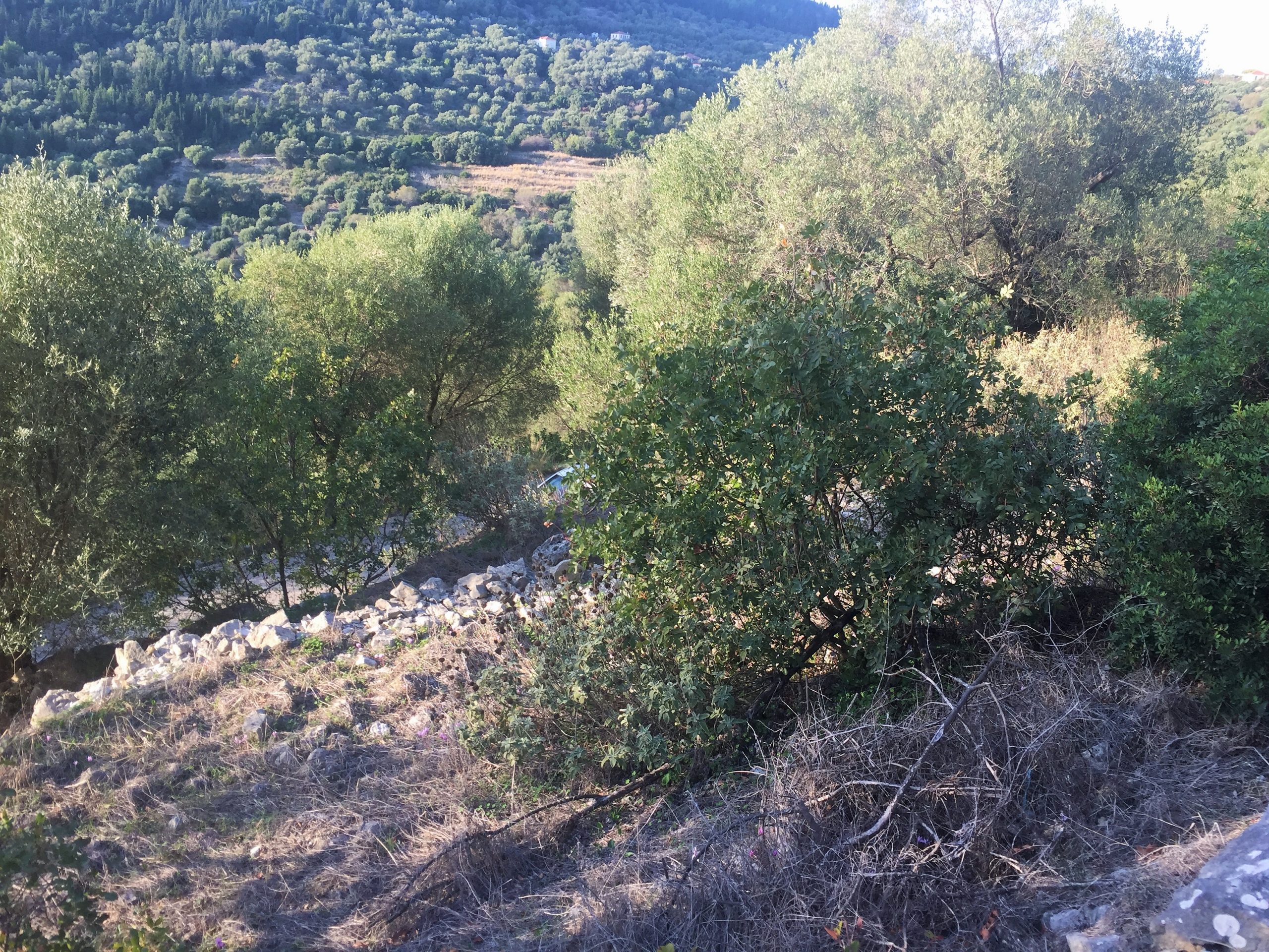 Landscape and terrain of land for sale on Ithaca Greece
