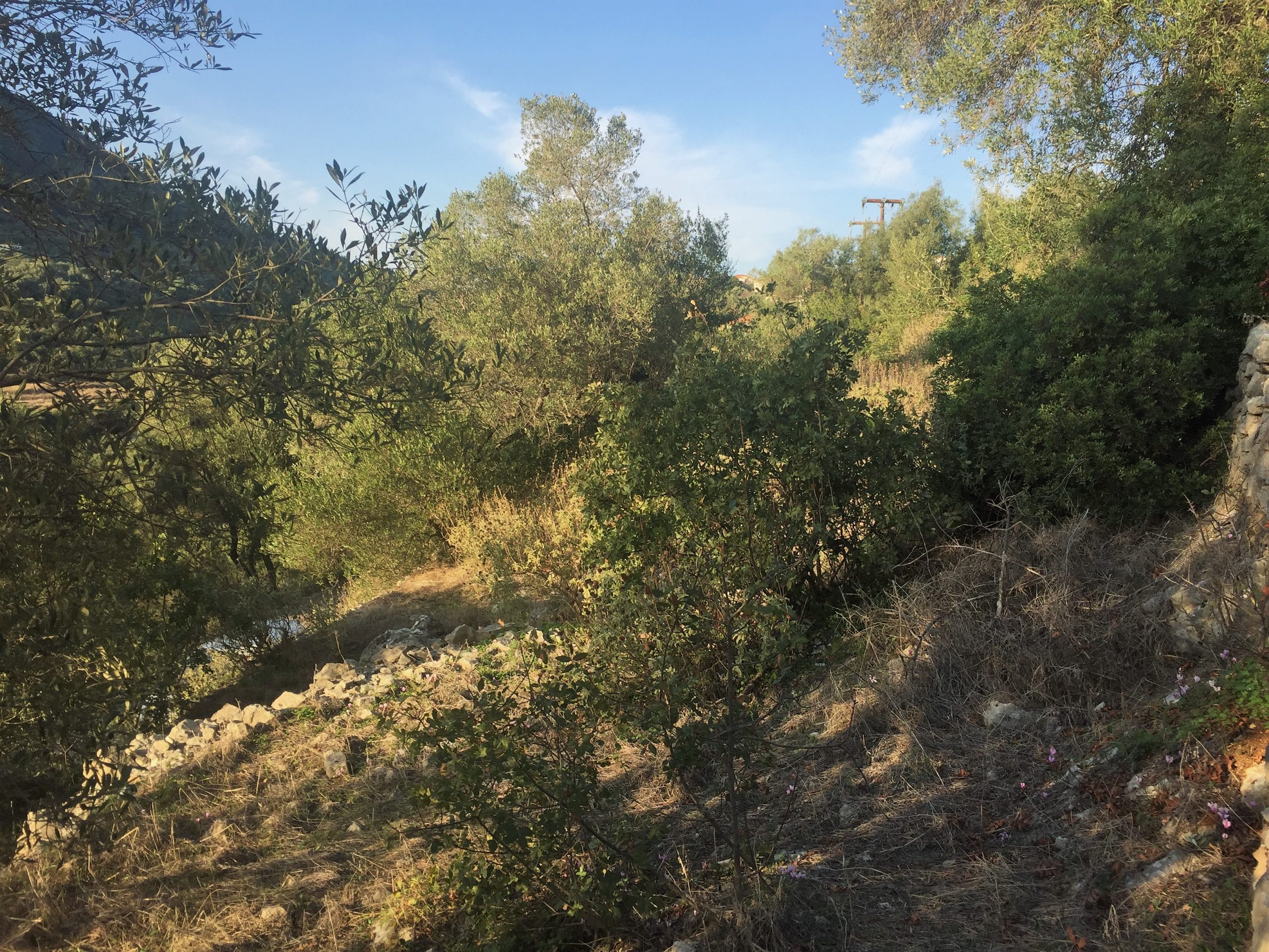 Landscape and terrain of land for sale on Ithaca Greece