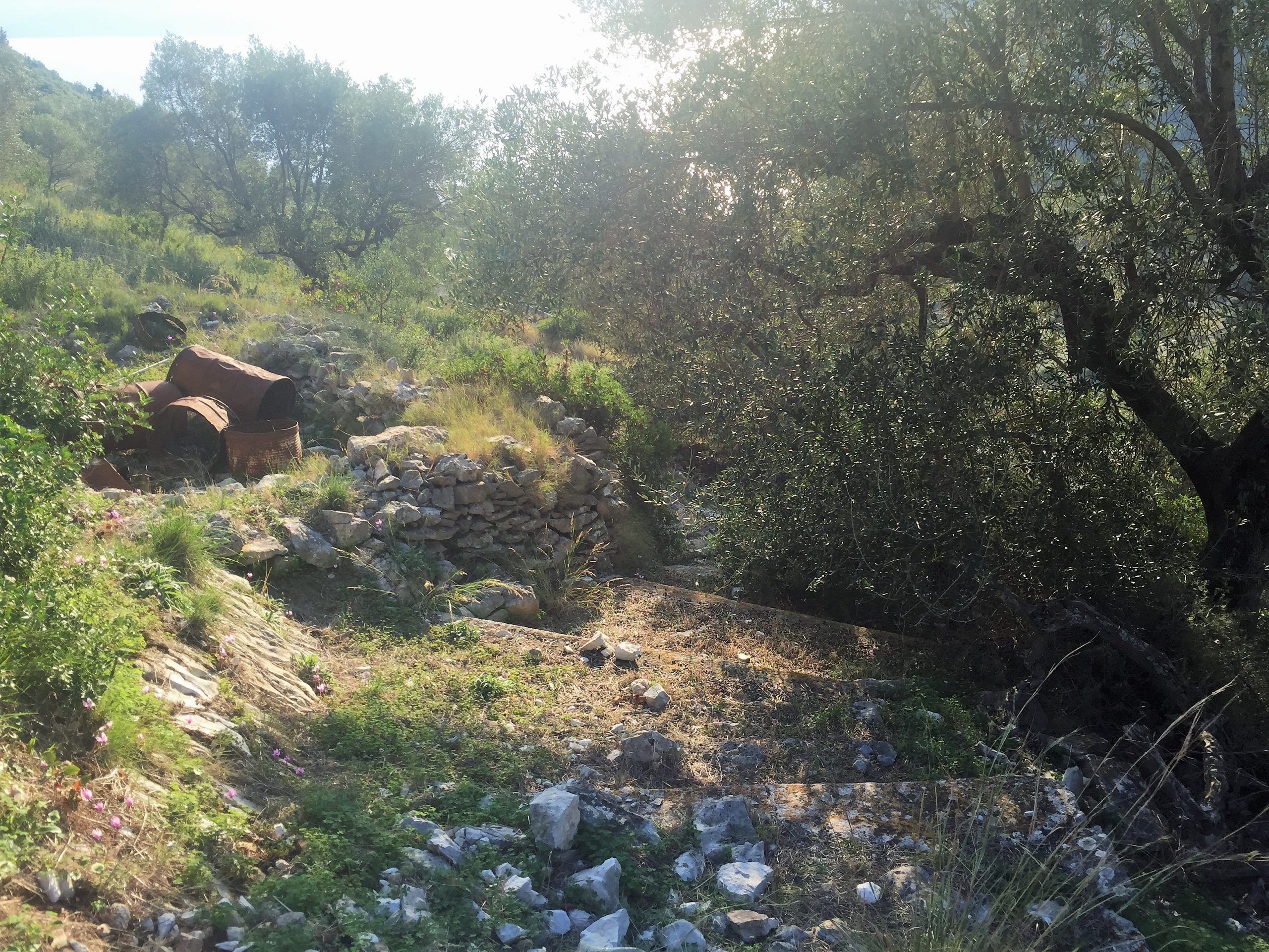 Landscape and terrain of land for sale on Ithaca Greece