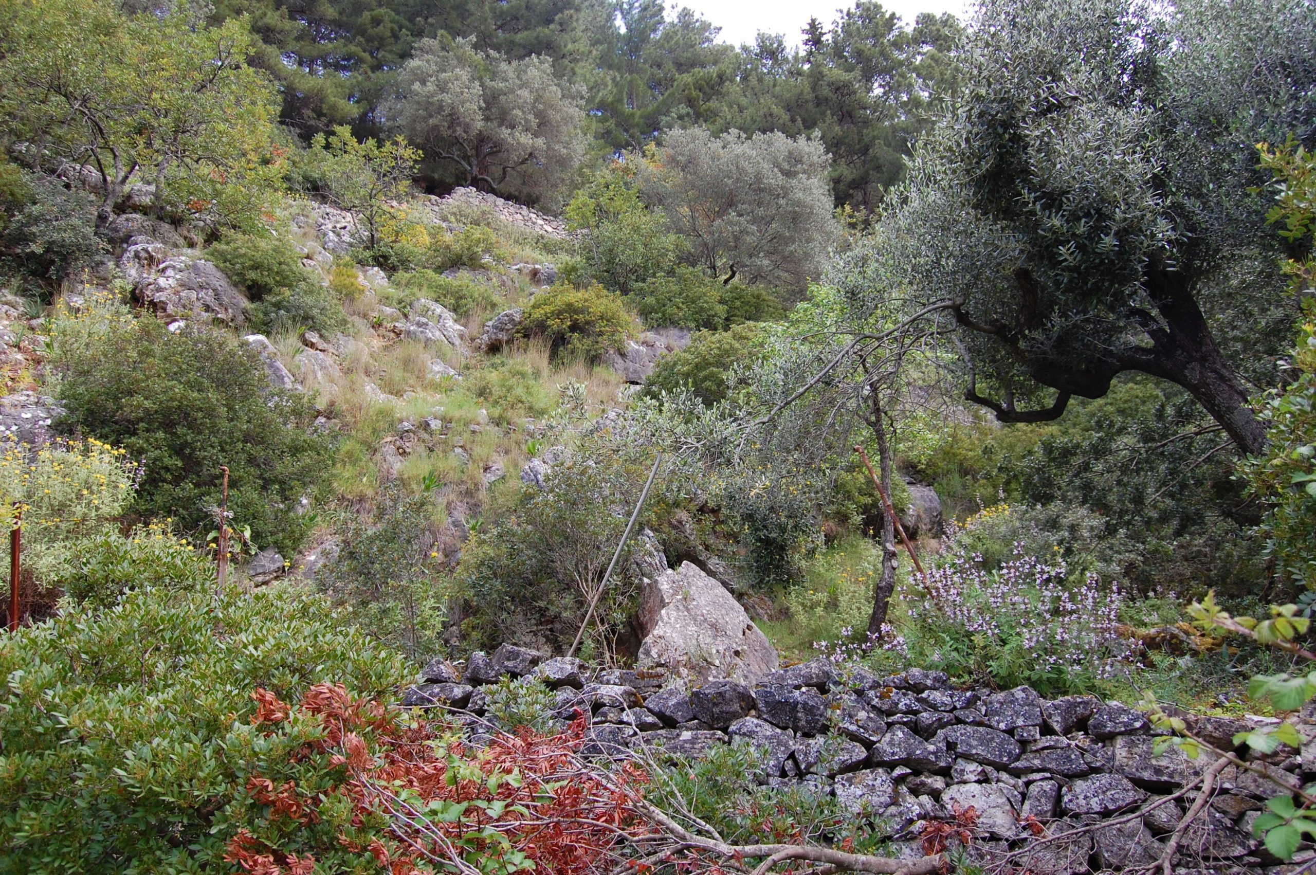 Terrain and landscape of land for sale in Ithaca Greece