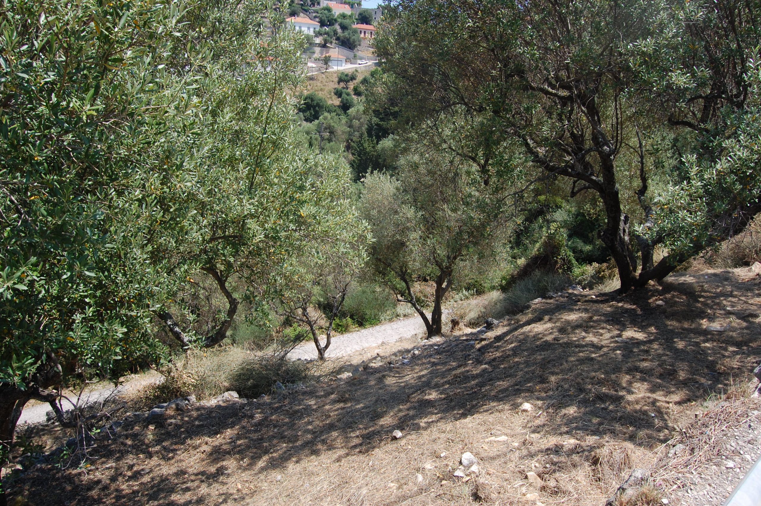 Terrain and landscape of land for sale in Ithaca Greece, Kioni