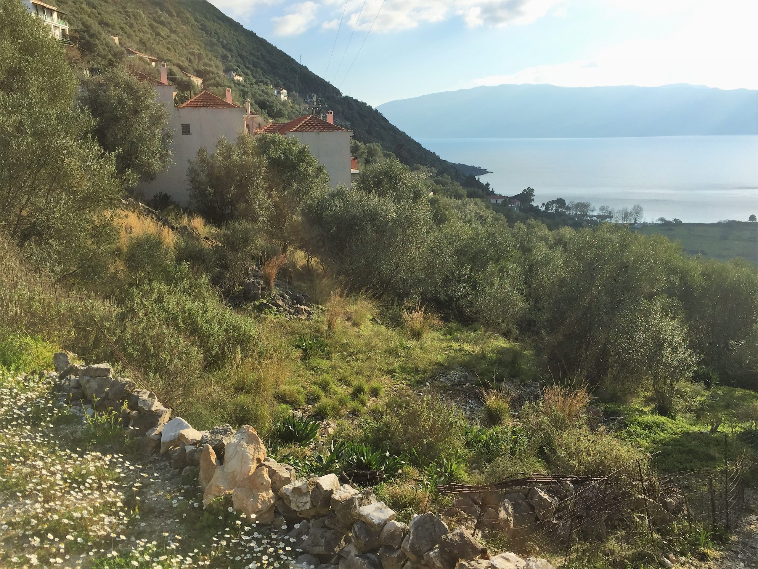 Landscape and terrain of land for sale on Ithaca Greece