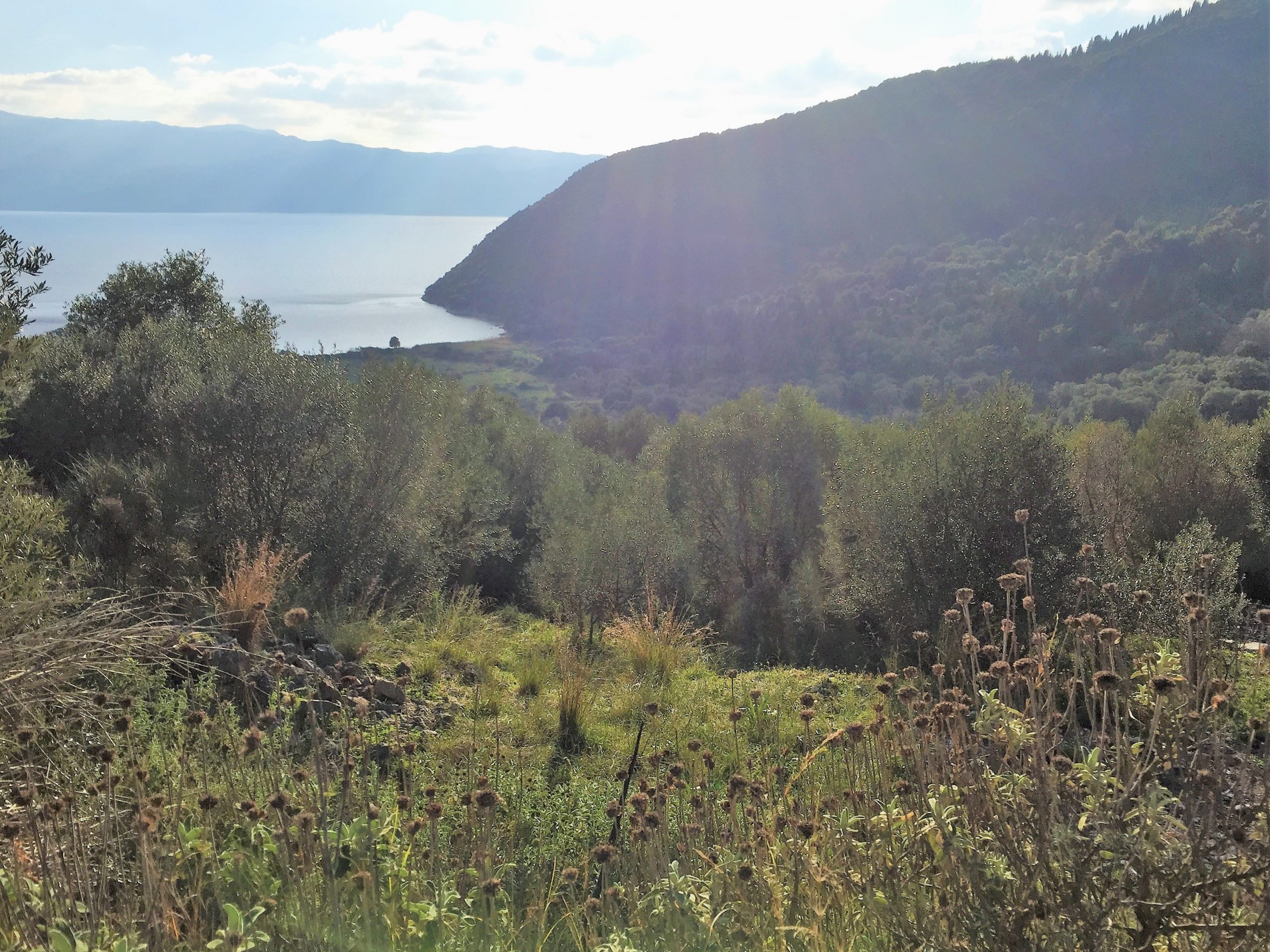 Landscape and terrain of land for sale on Ithaca Greece