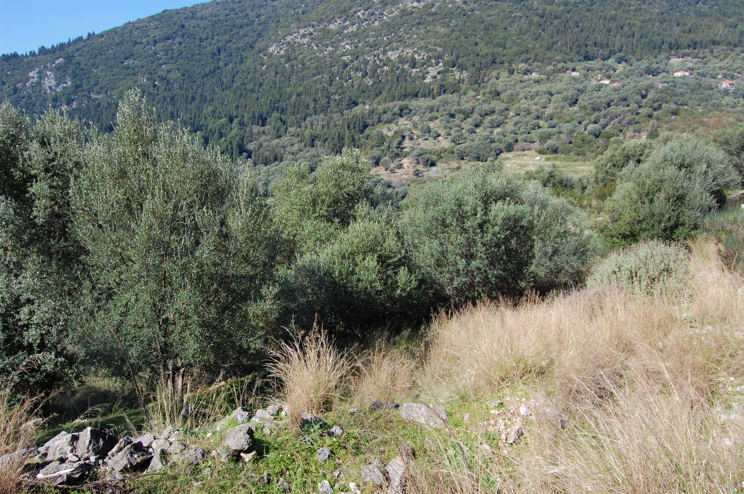 Landscape and terrain of land for sale on Ithaca Greece