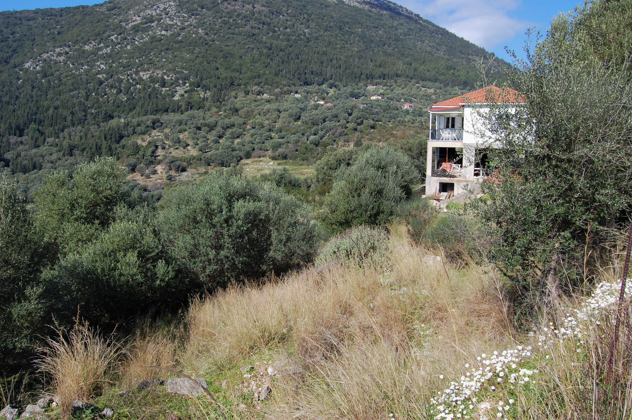 Landscape and terrain of land for sale on Ithaca Greece