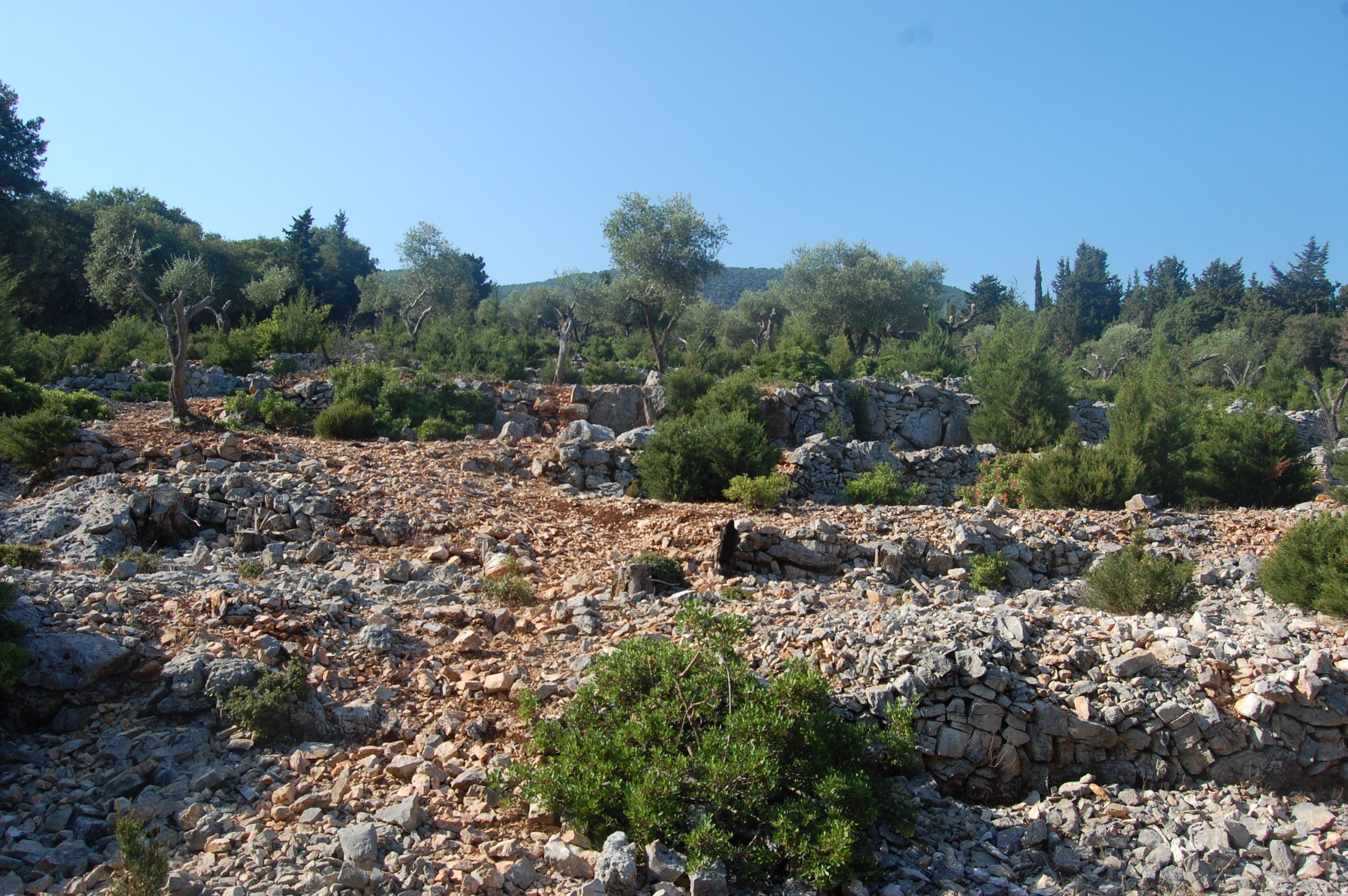 Landscape and terrain and sea view of land for sale Ithaca Greece