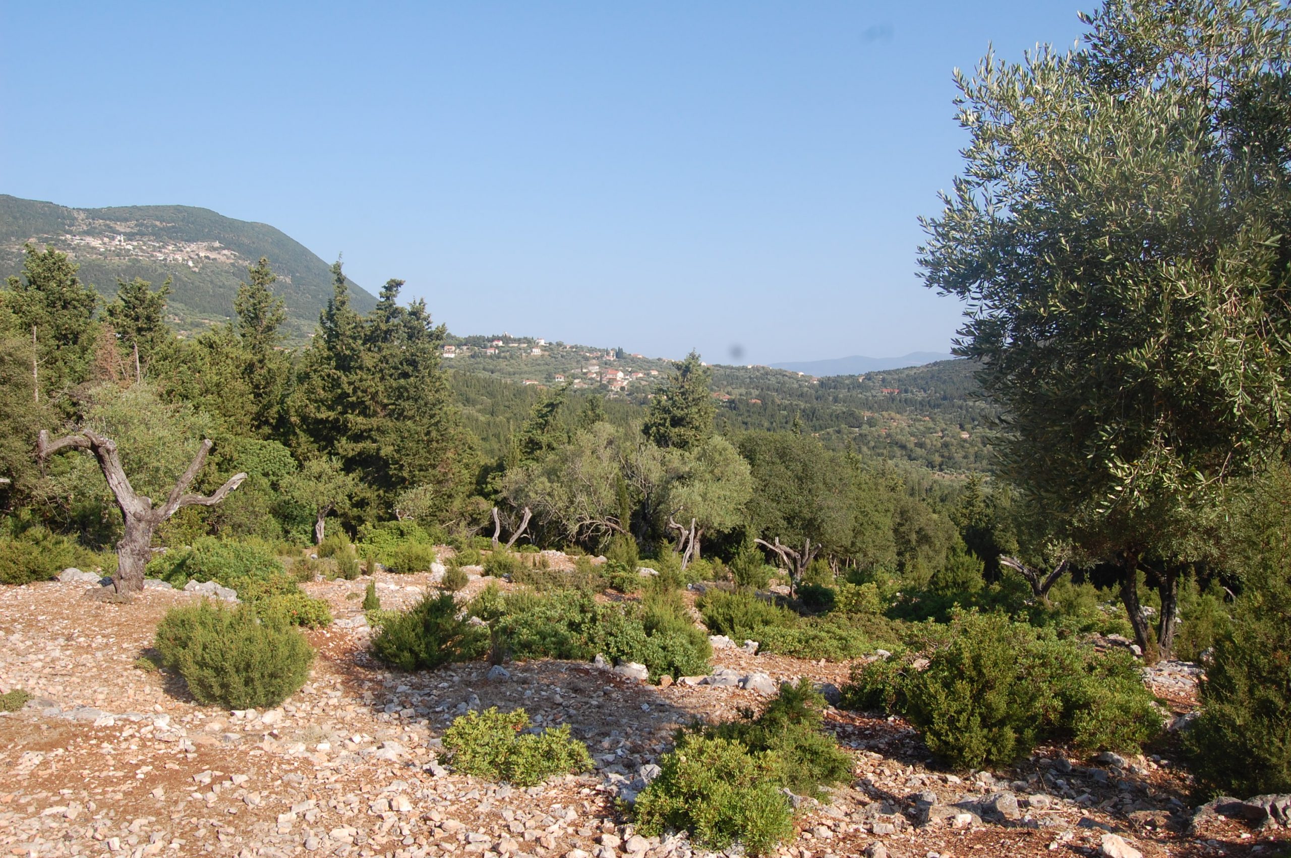 Landscape and terrain and sea view of land for sale Ithaca Greece