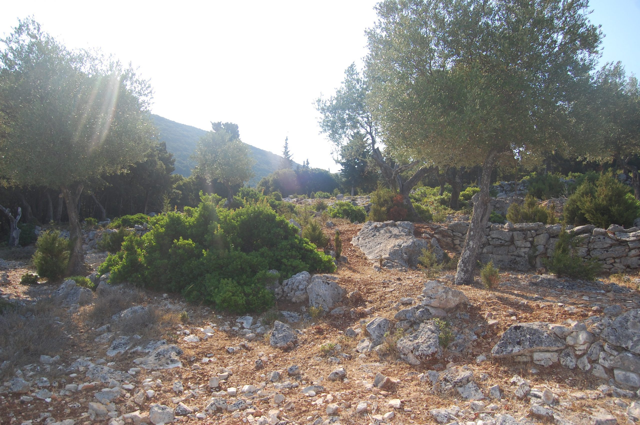 Landscape and terrain and sea view of land for sale Ithaca Greece