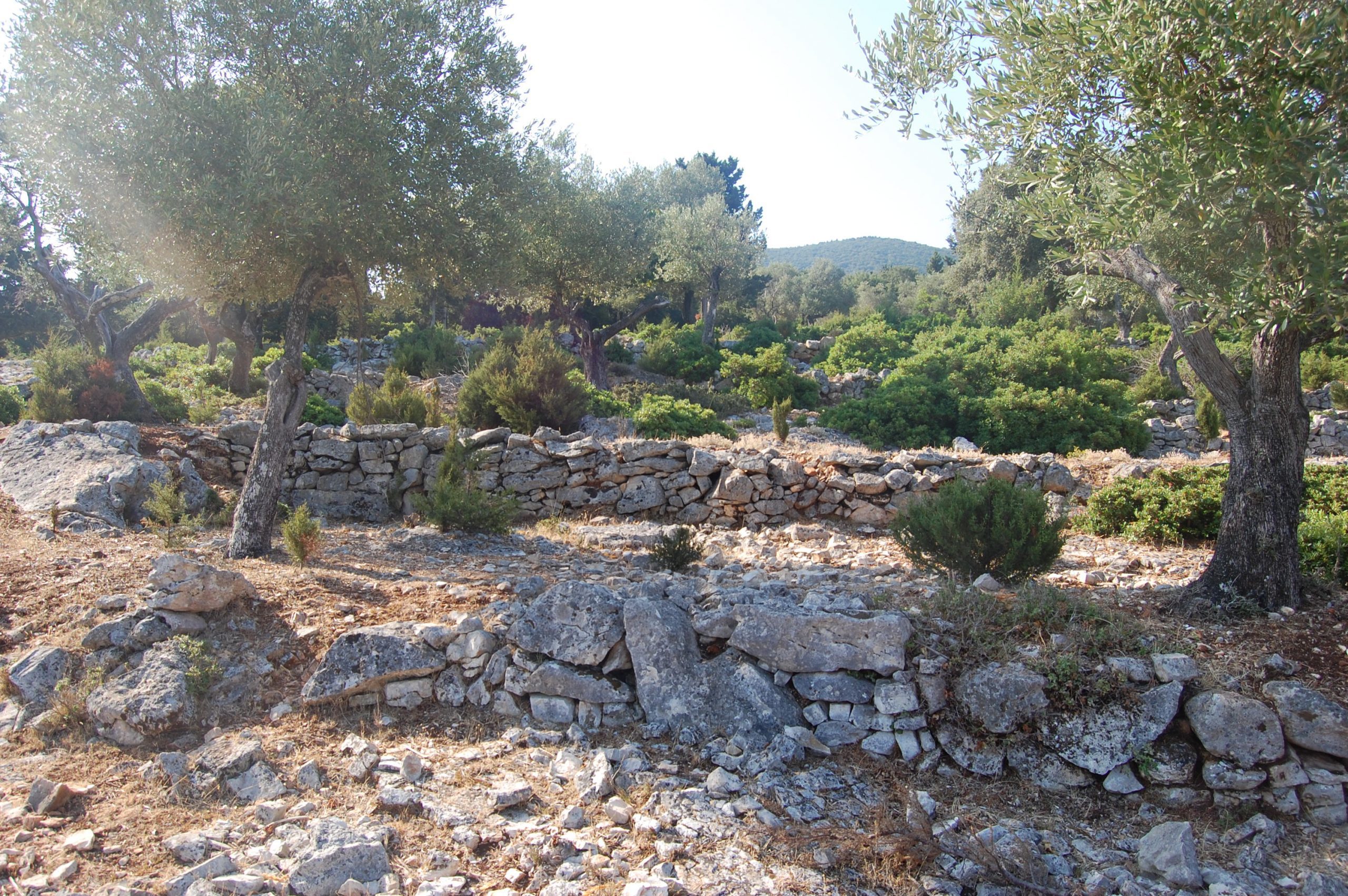 Landscape and terrain and sea view of land for sale Ithaca Greece