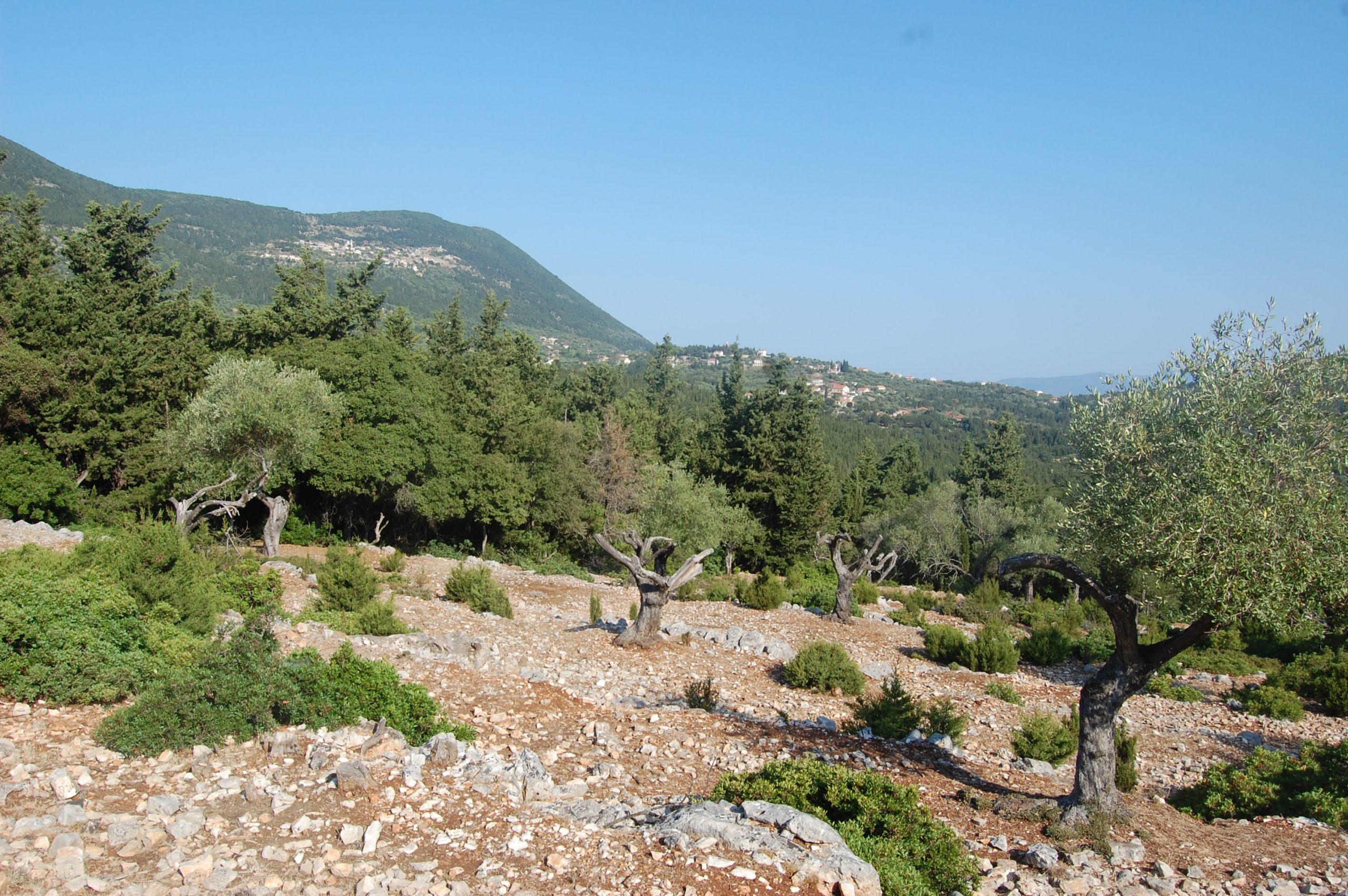 Landscape and terrain and sea view of land for sale Ithaca Greece