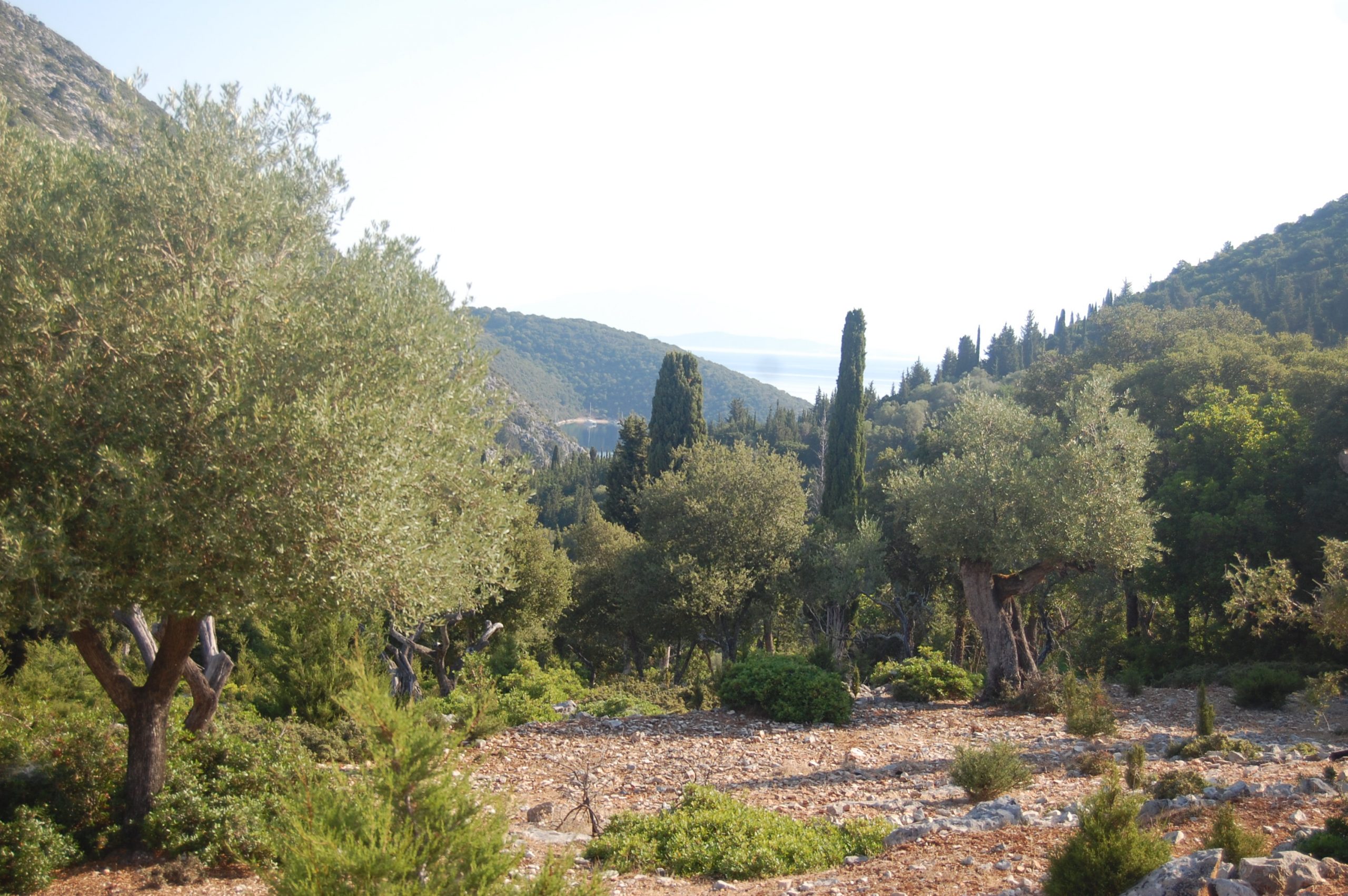 Landscape and terrain and sea view of land for sale Ithaca Greece