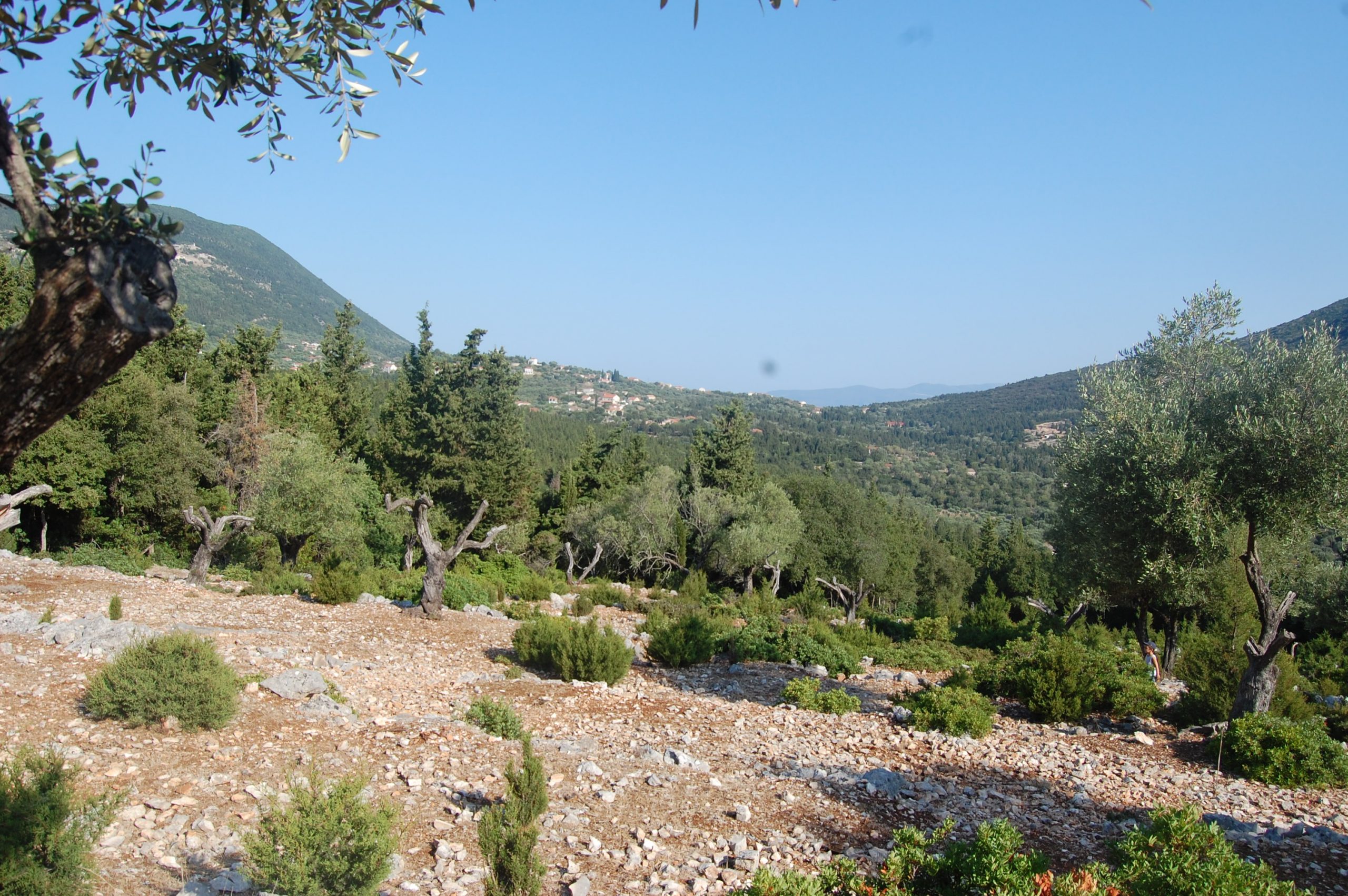 Landscape and terrain and sea view of land for sale Ithaca Greece