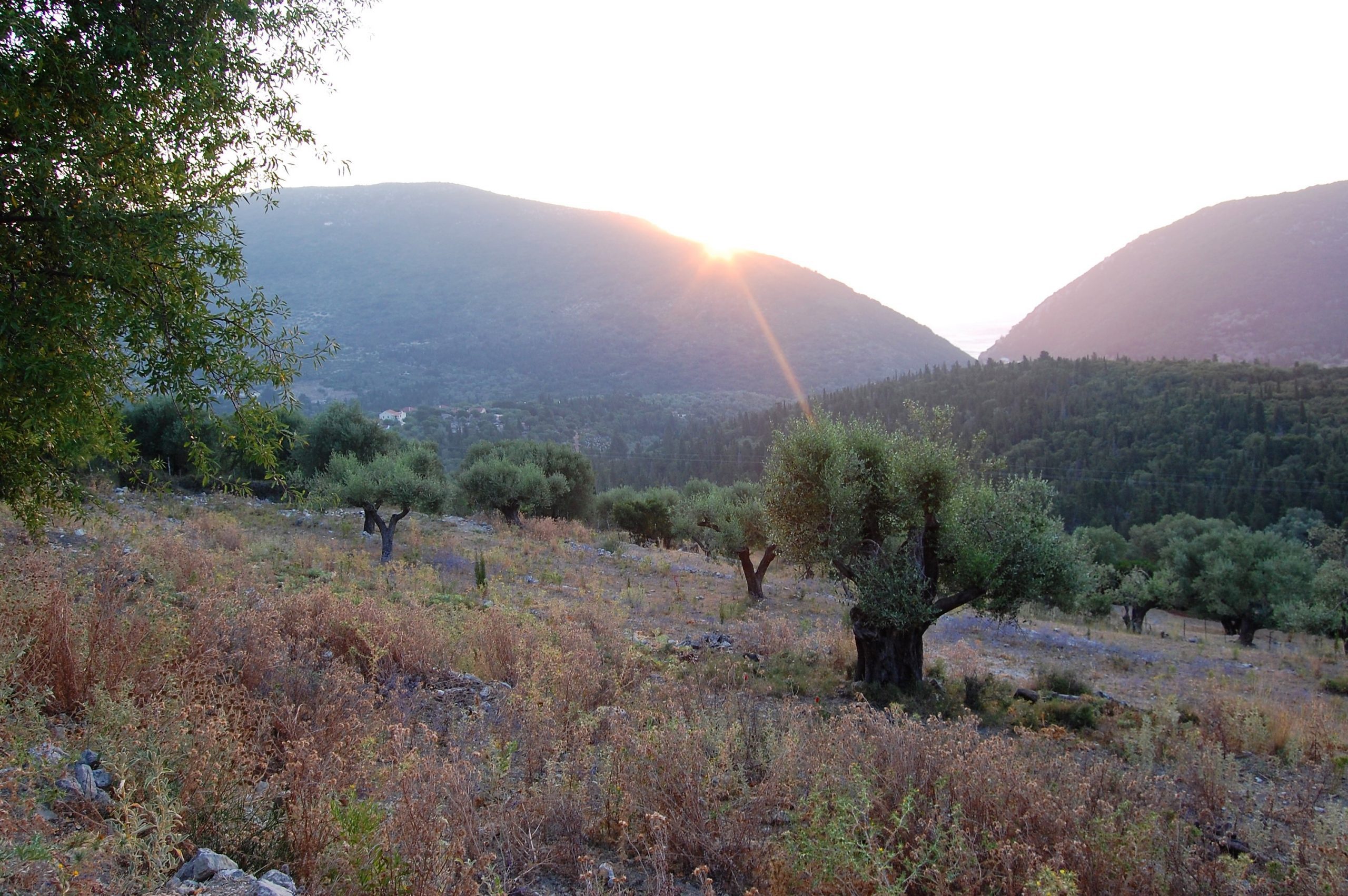 Landscape terrain of land for sale Ithaca Greece, Pilikata